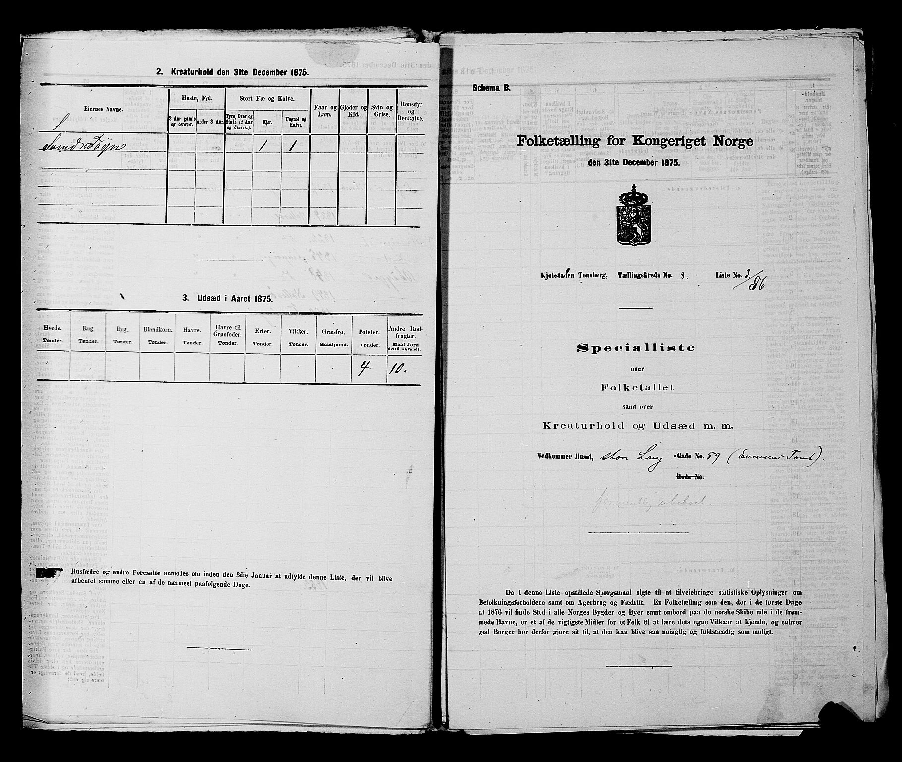 SAKO, 1875 census for 0705P Tønsberg, 1875, p. 226