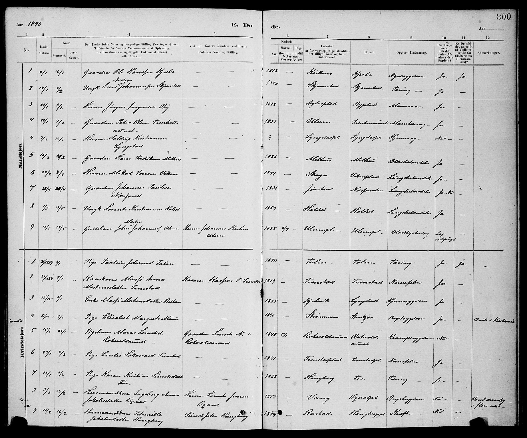 Ministerialprotokoller, klokkerbøker og fødselsregistre - Nord-Trøndelag, SAT/A-1458/730/L0301: Parish register (copy) no. 730C04, 1880-1897, p. 300