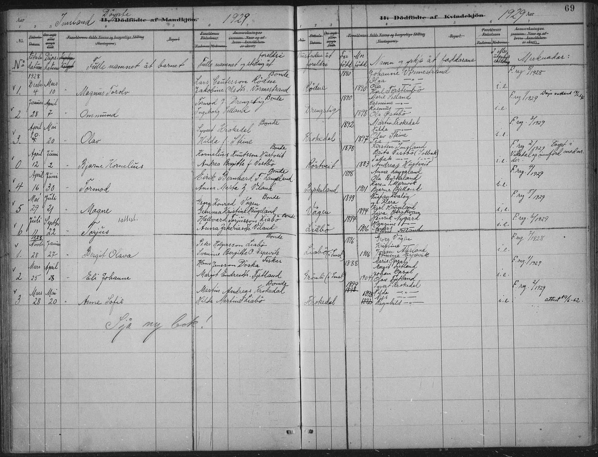 Vikedal sokneprestkontor, AV/SAST-A-101840/01/IV: Parish register (official) no. A 12, 1886-1929, p. 69