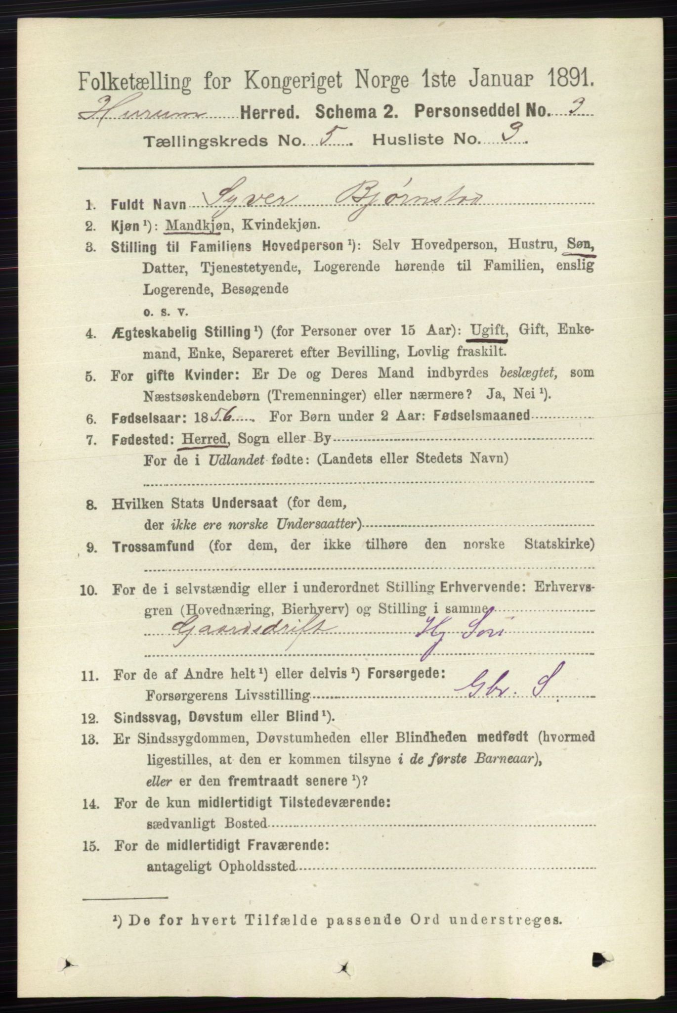 RA, 1891 census for 0628 Hurum, 1891, p. 1413