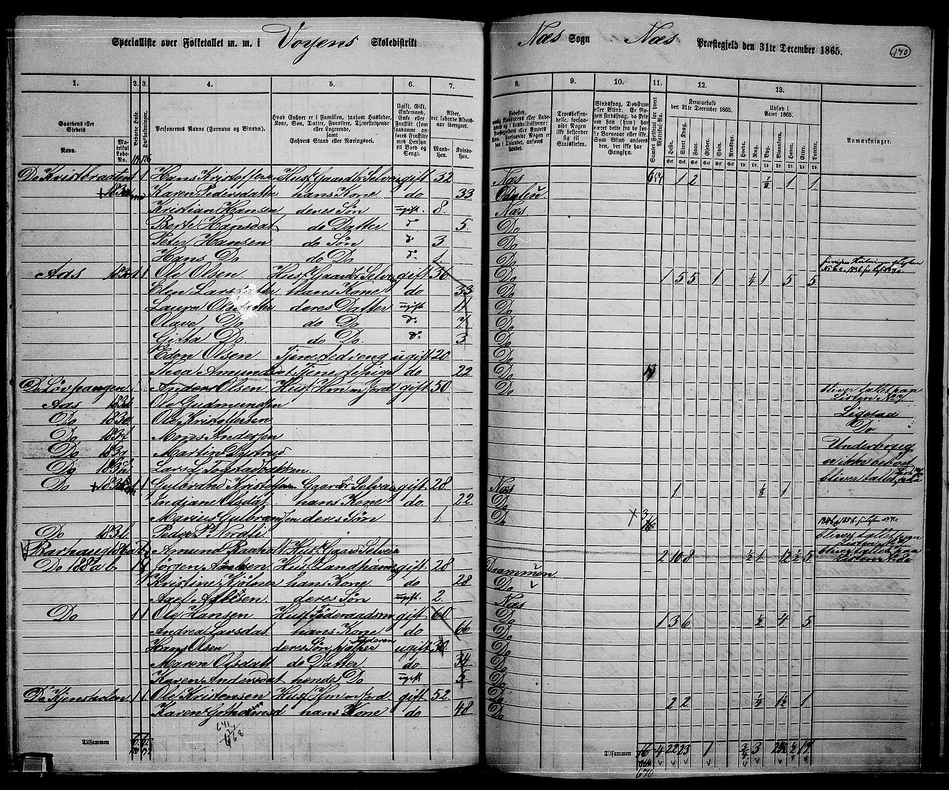 RA, 1865 census for Nes, 1865, p. 156