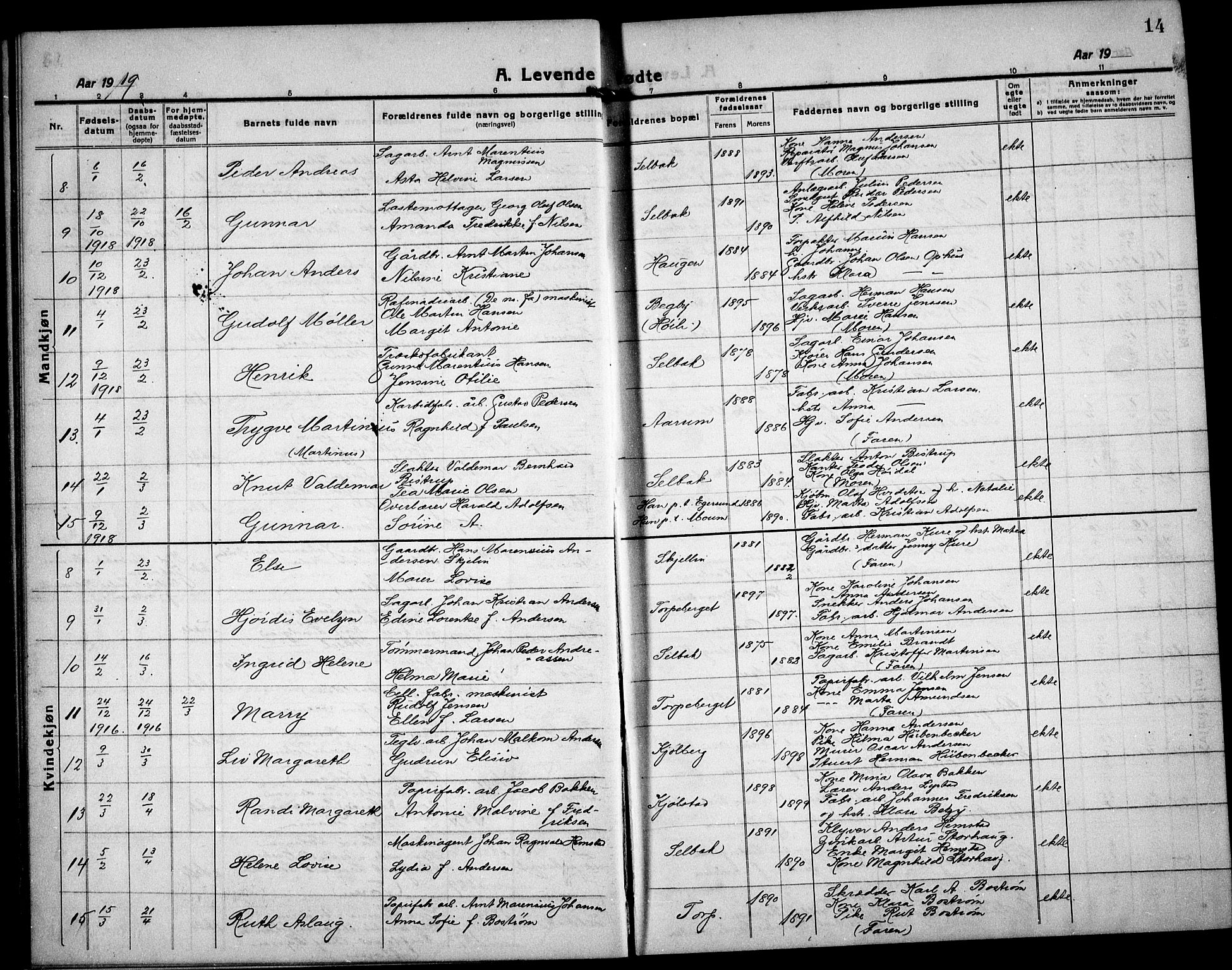 Borge prestekontor Kirkebøker, AV/SAO-A-10903/G/Ga/L0003: Parish register (copy) no. I 3, 1918-1939, p. 14