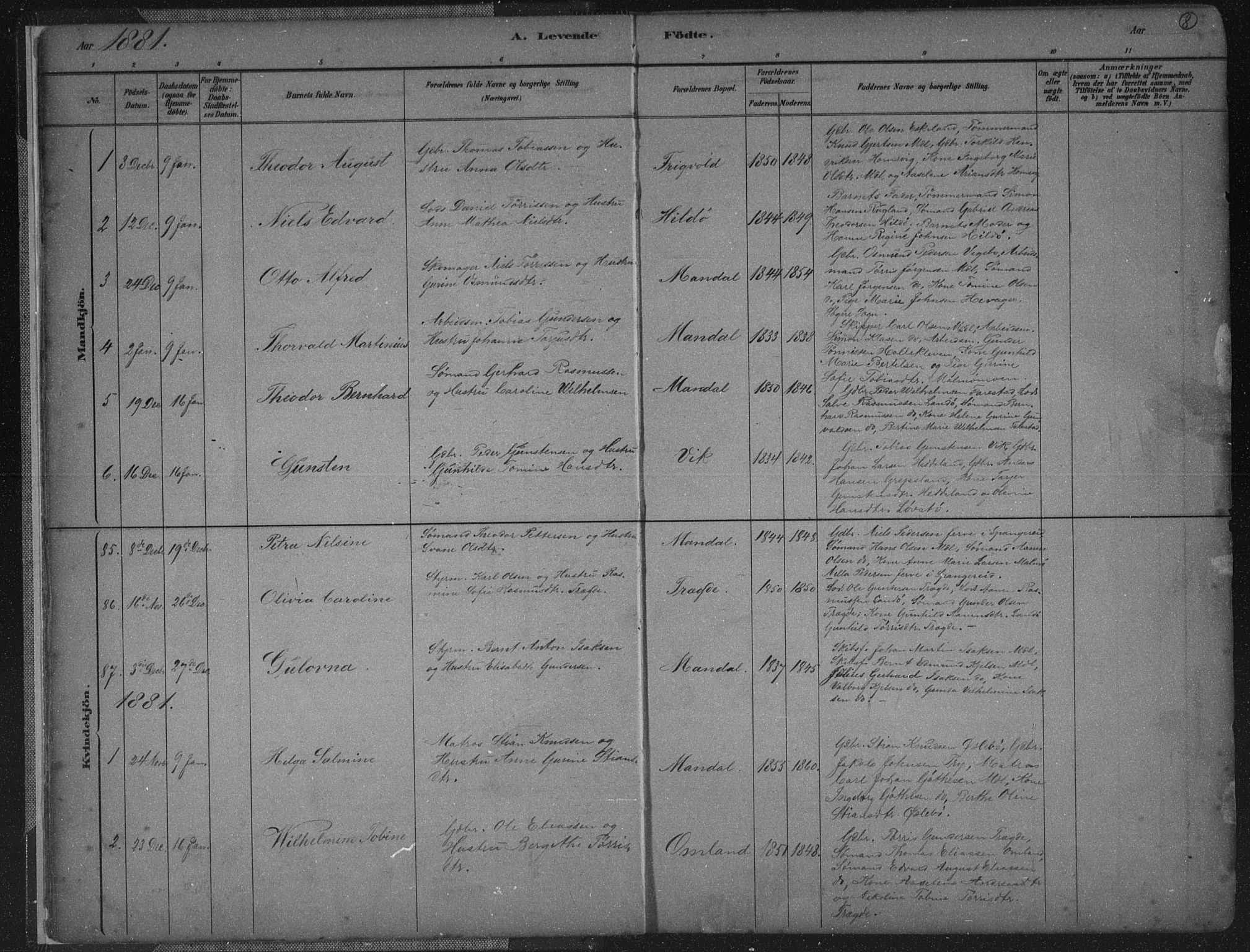 Mandal sokneprestkontor, SAK/1111-0030/F/Fb/Fba/L0011: Parish register (copy) no. B 5, 1880-1898, p. 8