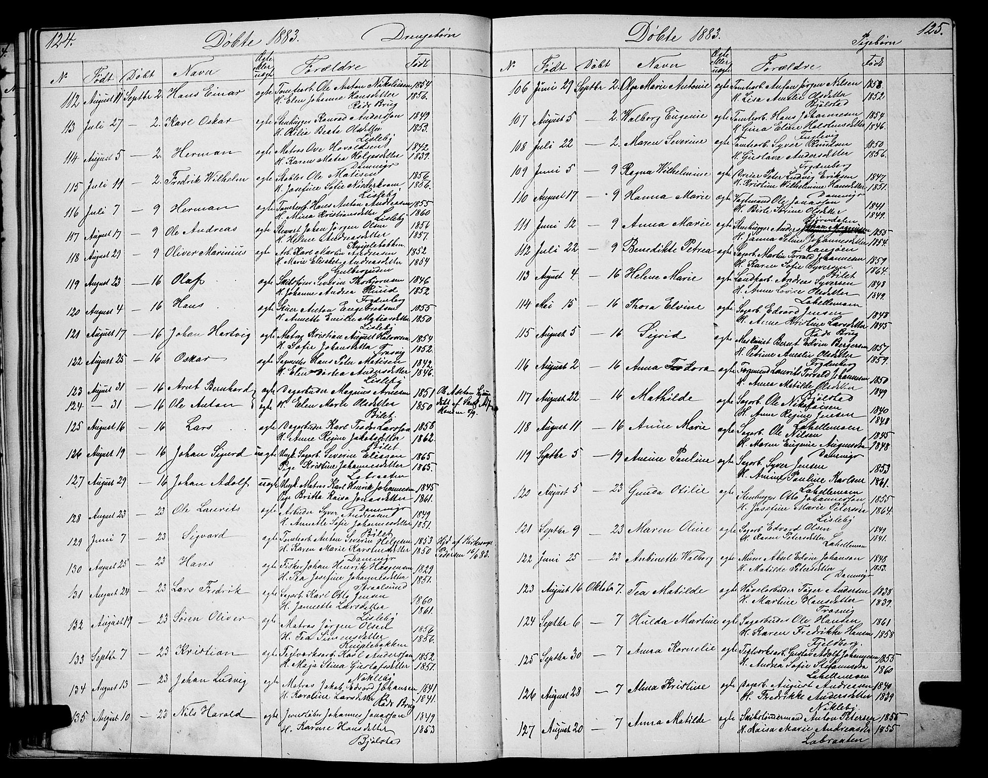 Glemmen prestekontor Kirkebøker, SAO/A-10908/G/Ga/L0005: Parish register (copy) no. 5, 1876-1893, p. 124-125