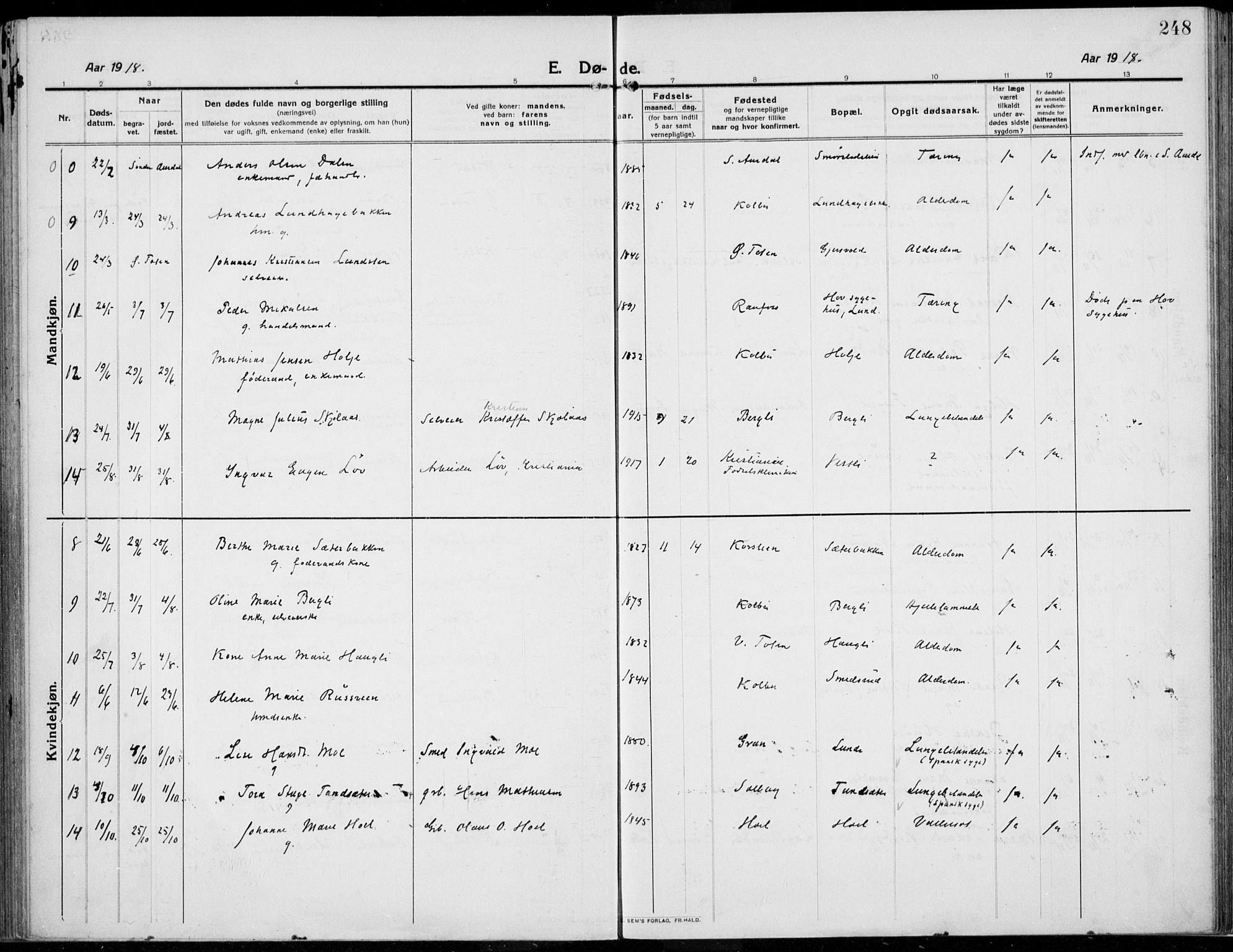 Kolbu prestekontor, SAH/PREST-110/H/Ha/Haa/L0002: Parish register (official) no. 2, 1912-1926, p. 248
