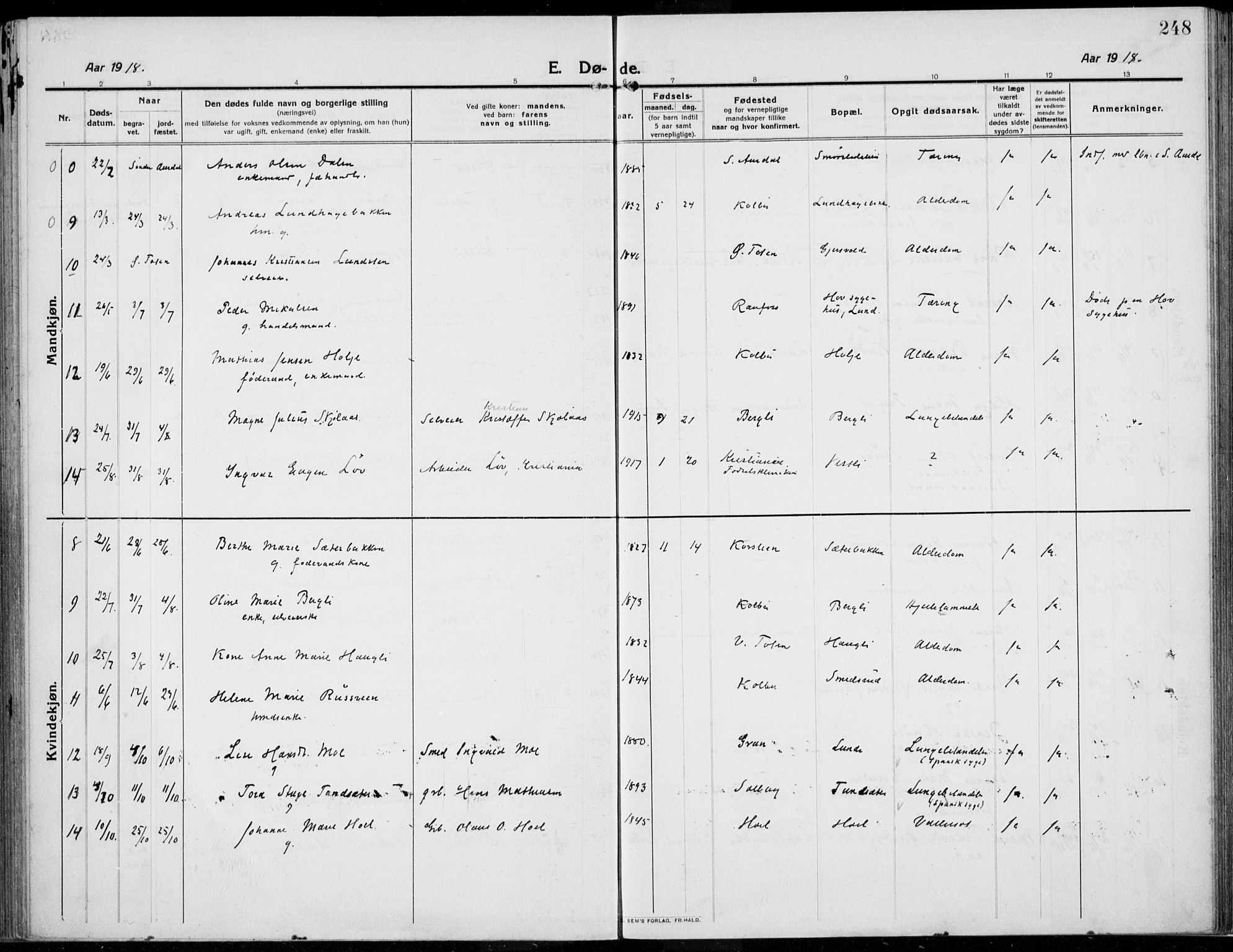 Kolbu prestekontor, AV/SAH-PREST-110/H/Ha/Haa/L0002: Parish register (official) no. 2, 1912-1926, p. 248