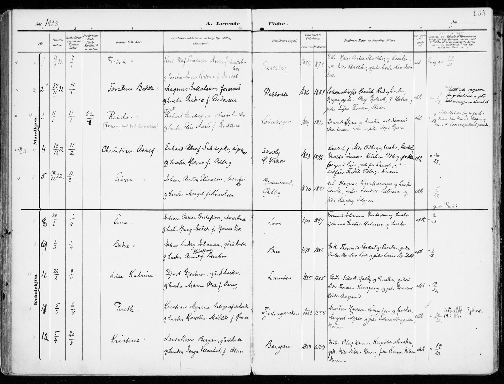 Tjølling kirkebøker, AV/SAKO-A-60/F/Fa/L0010: Parish register (official) no. 10, 1906-1923, p. 135