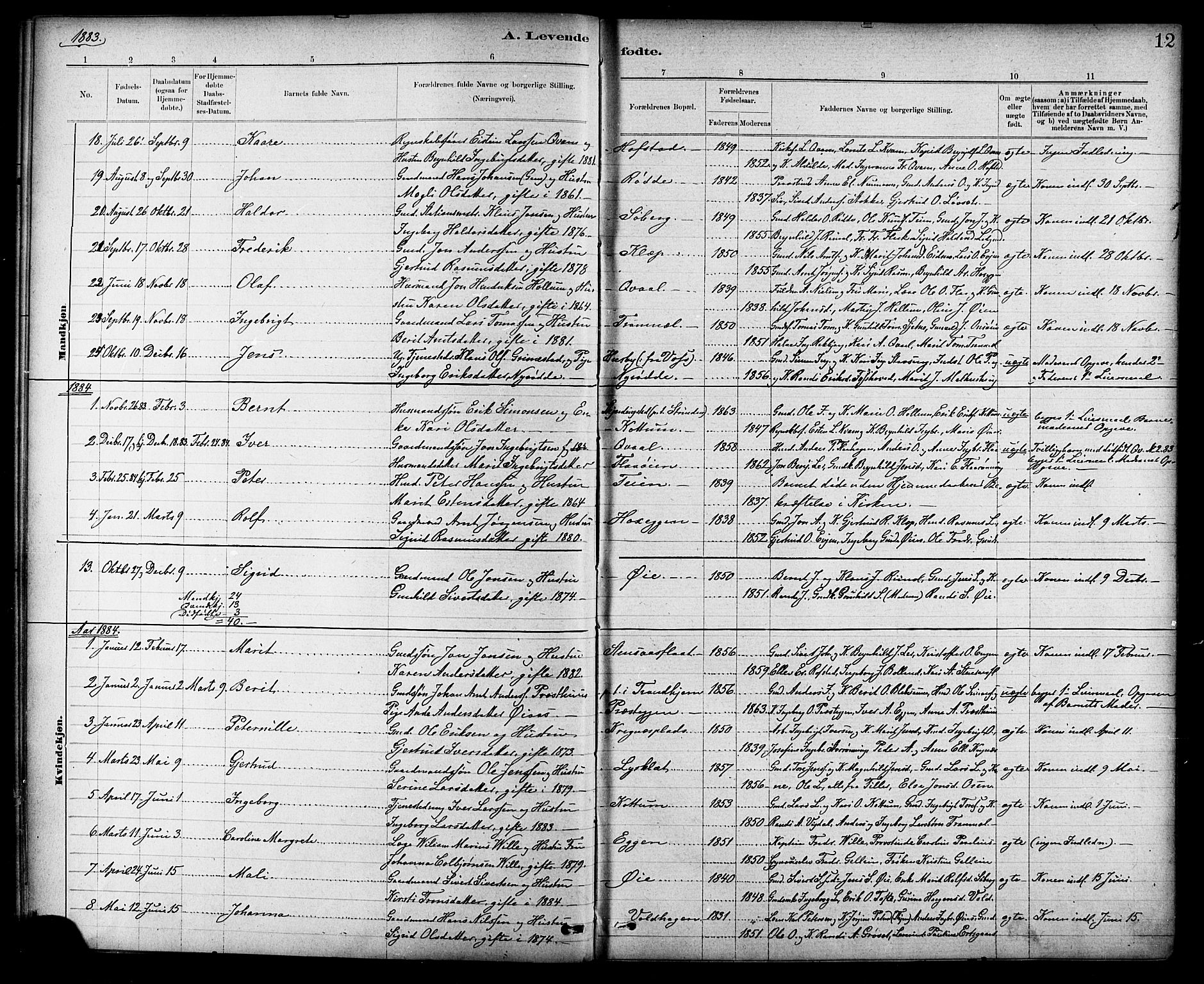 Ministerialprotokoller, klokkerbøker og fødselsregistre - Sør-Trøndelag, SAT/A-1456/691/L1094: Parish register (copy) no. 691C05, 1879-1911, p. 12