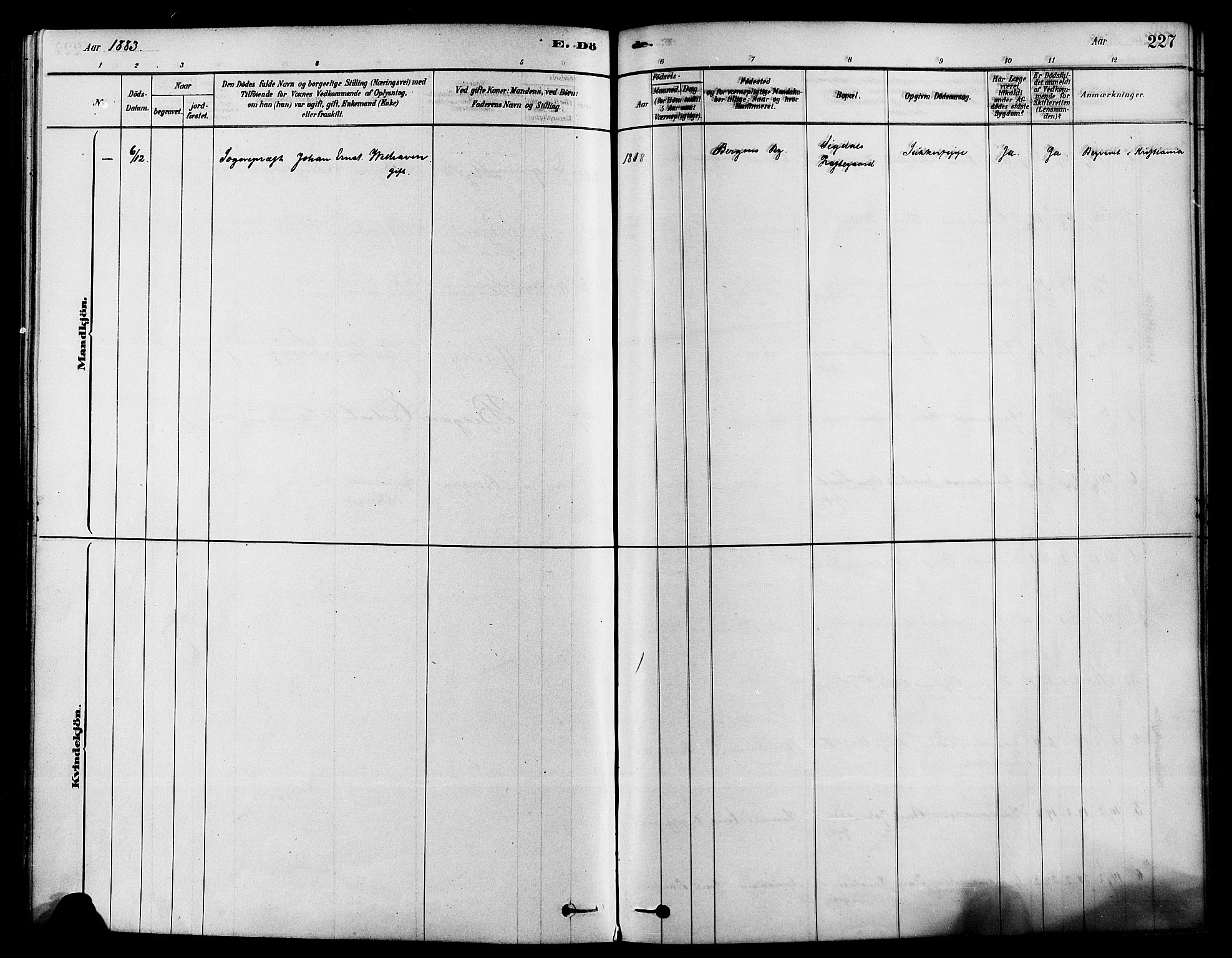 Sigdal kirkebøker, SAKO/A-245/F/Fa/L0011: Parish register (official) no. I 11, 1879-1887, p. 227