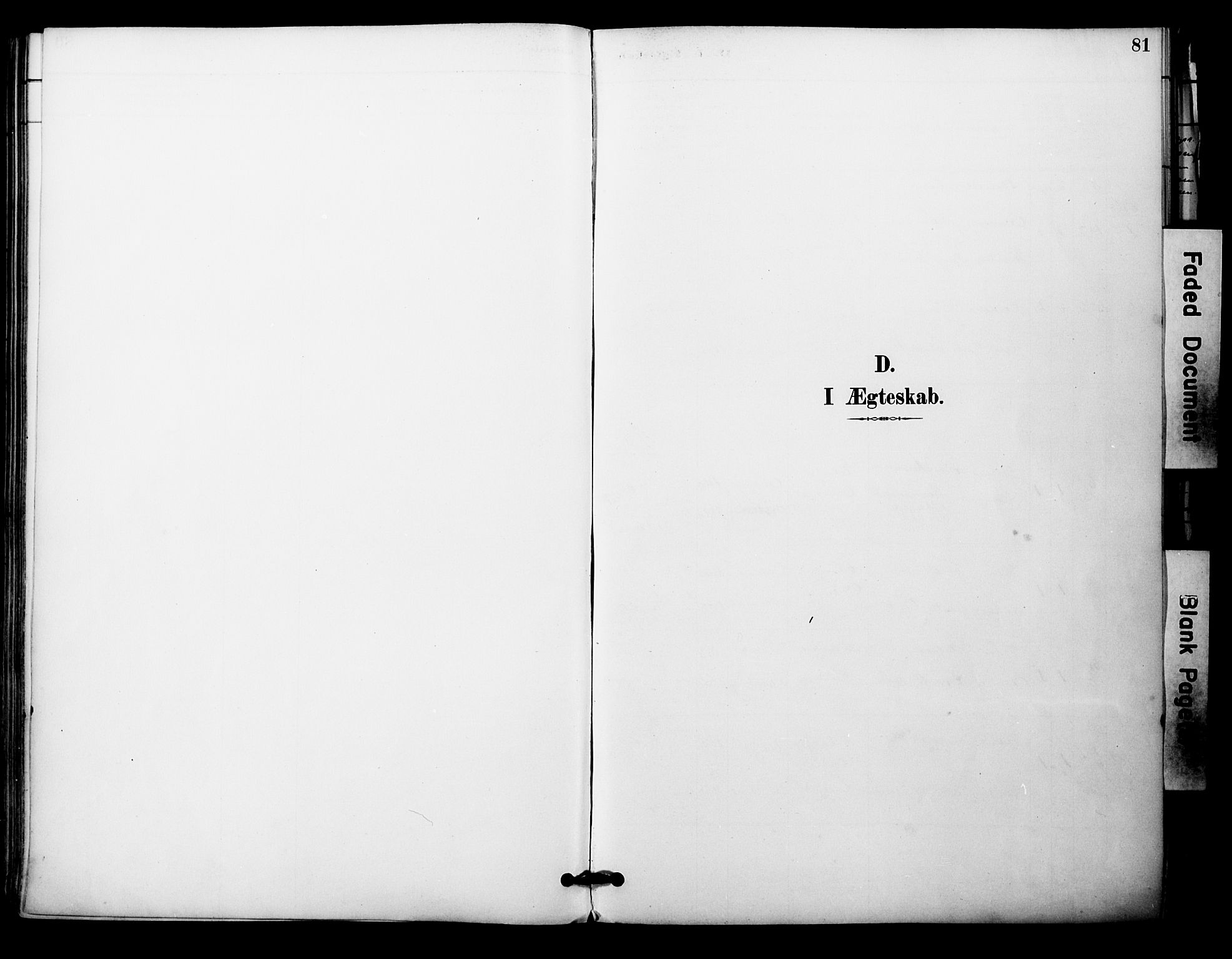 Nesseby sokneprestkontor, SATØ/S-1330/H/Ha/L0005kirke: Parish register (official) no. 5, 1885-1906, p. 81