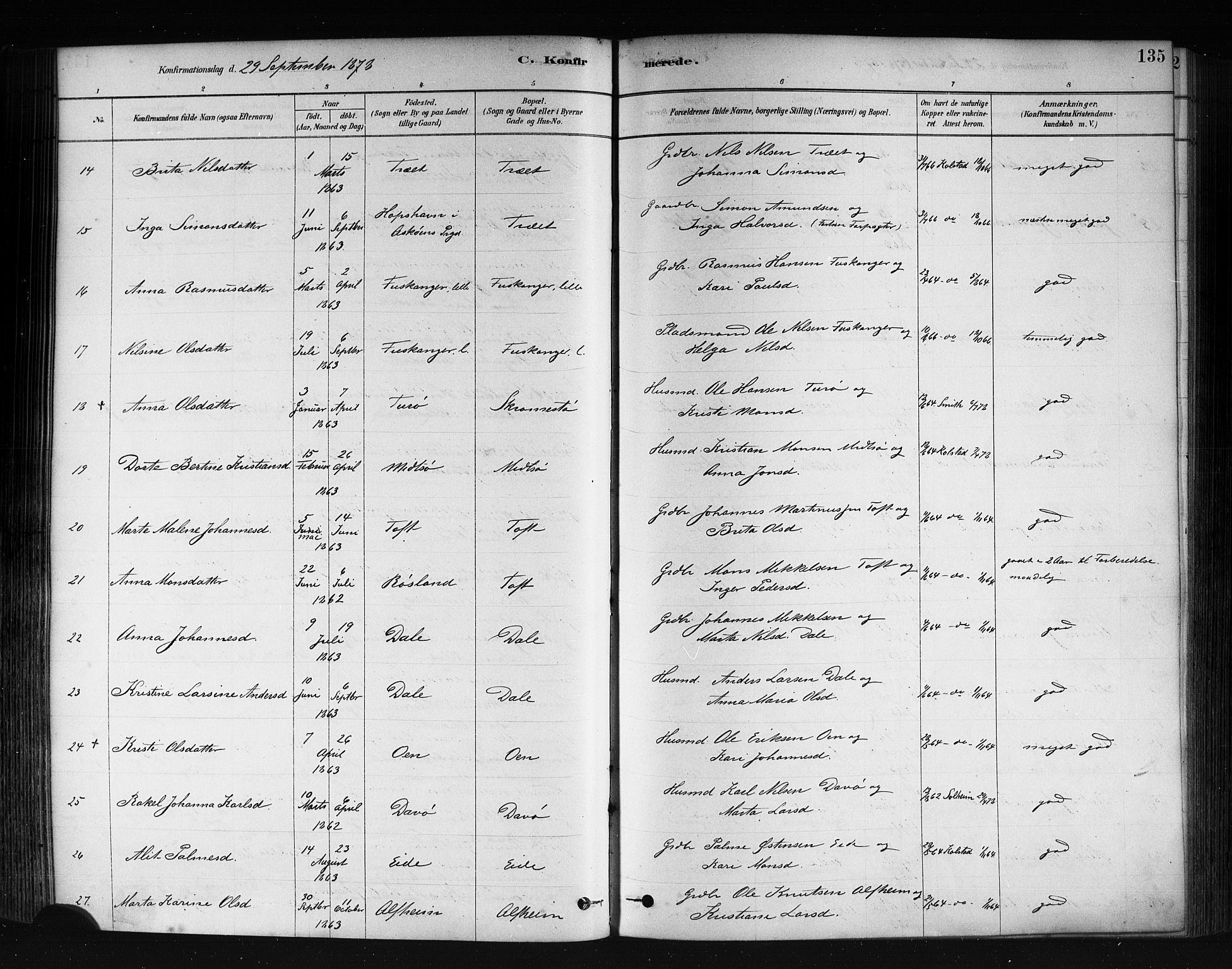 Herdla Sokneprestembete, AV/SAB-A-75701/H/Haa: Parish register (official) no. A 3, 1878-1890, p. 135