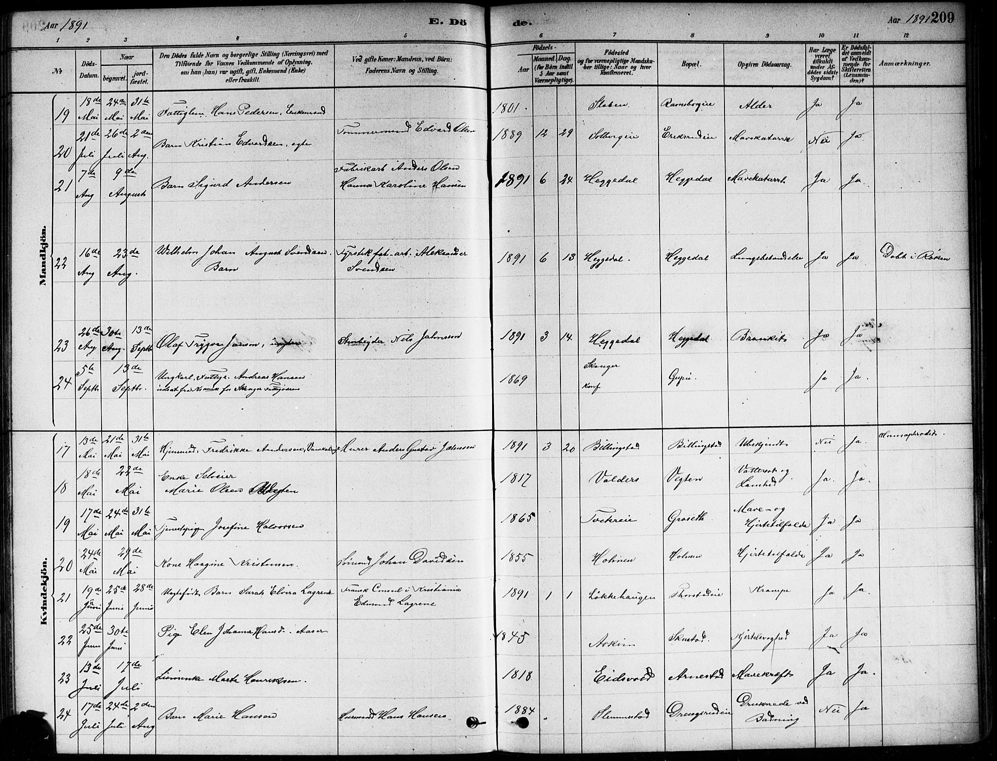 Asker prestekontor Kirkebøker, SAO/A-10256a/F/Fa/L0013: Parish register (official) no. I 13, 1879-1896, p. 209