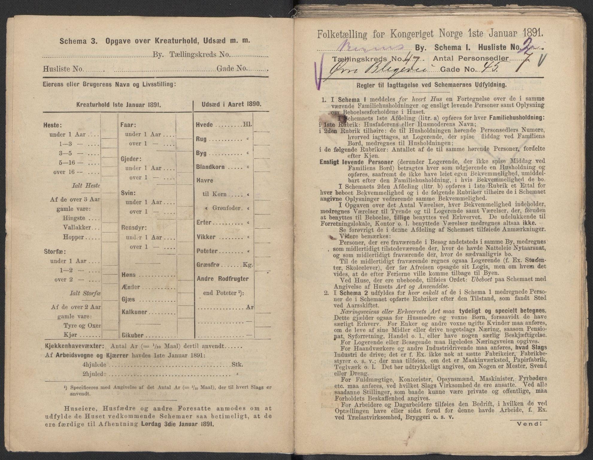 RA, 1891 Census for 1301 Bergen, 1891, p. 7654