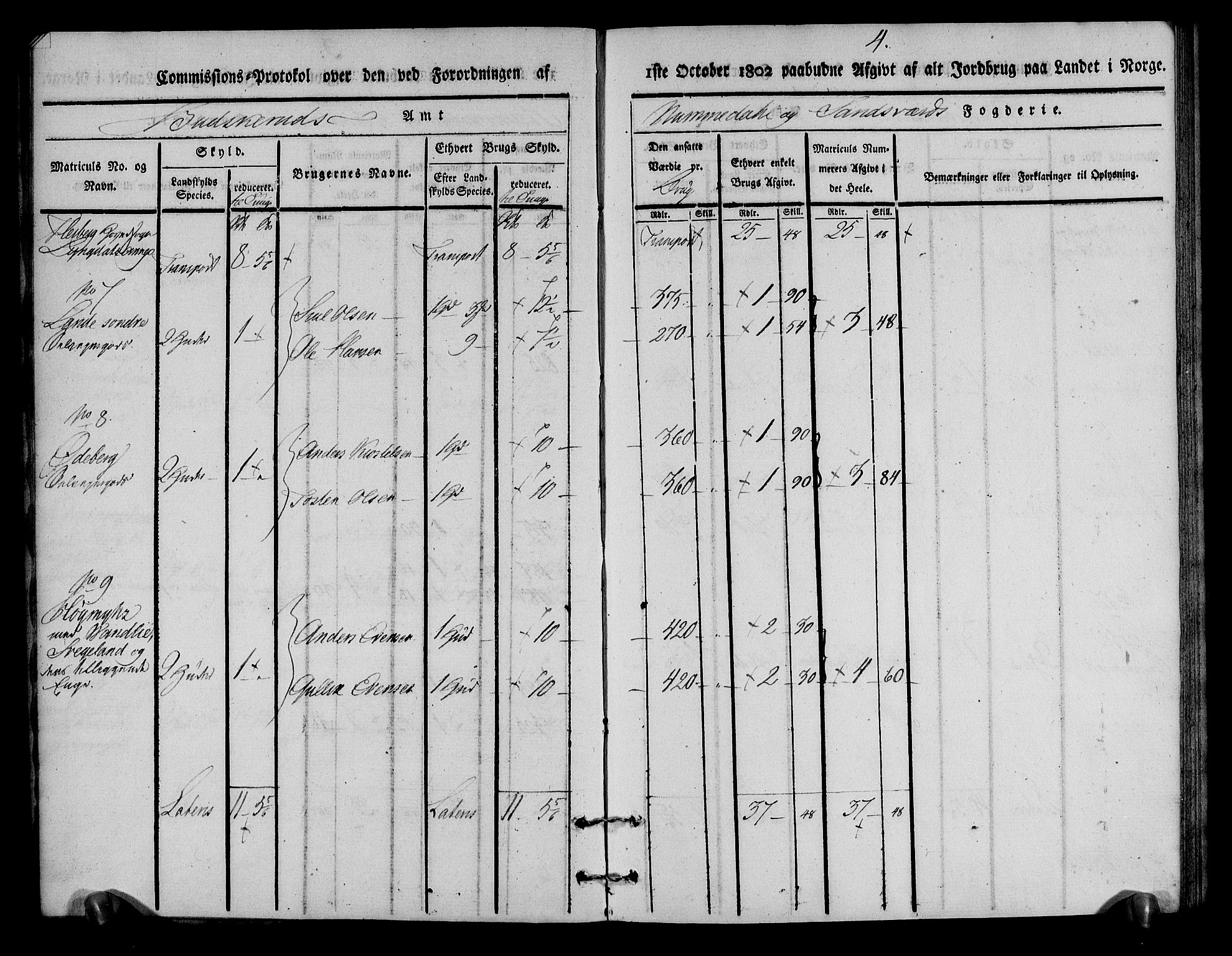 Rentekammeret inntil 1814, Realistisk ordnet avdeling, AV/RA-EA-4070/N/Ne/Nea/L0055: Numedal og Sandsvær fogderi. Kommisjonsprotokoll for Flesberg prestegjeld, 1803, p. 5