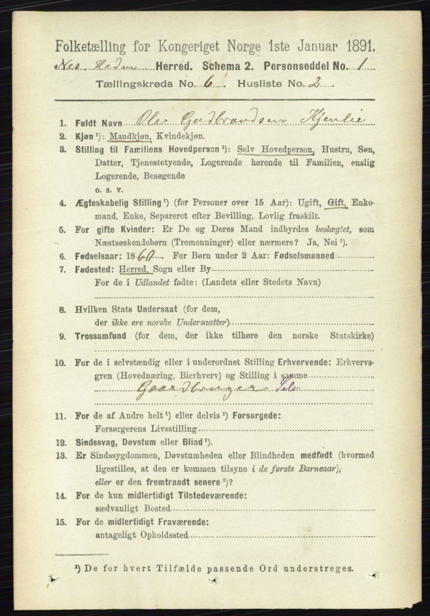 RA, 1891 census for 0411 Nes, 1891, p. 3271