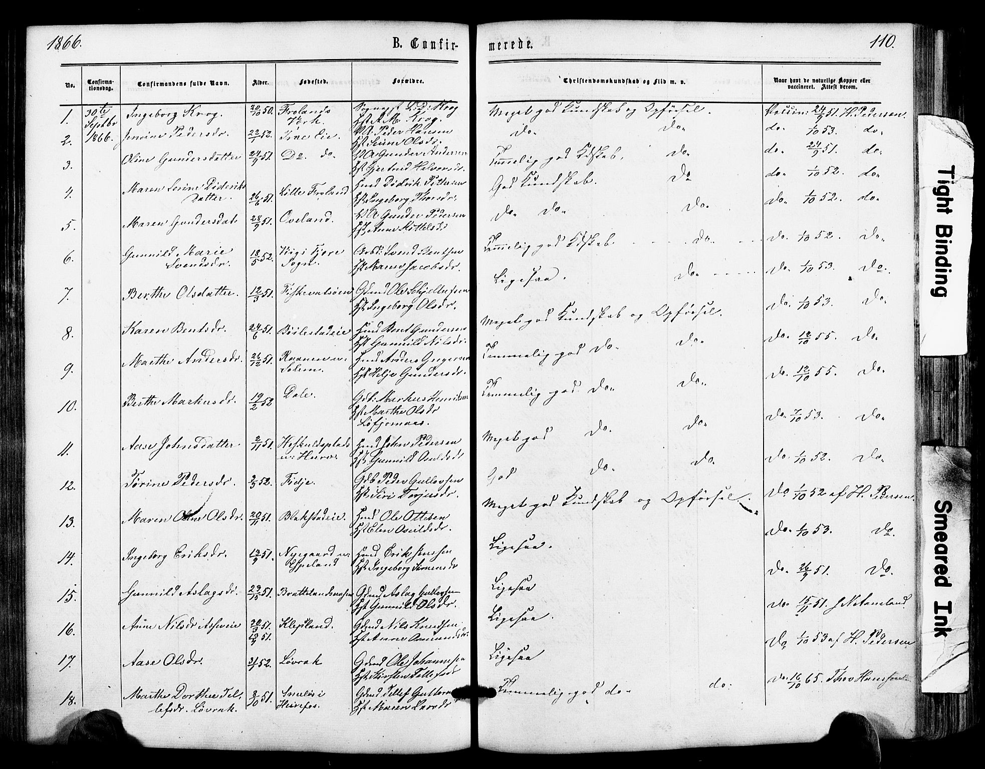 Froland sokneprestkontor, SAK/1111-0013/F/Fa/L0003: Parish register (official) no. A 3, 1864-1881, p. 110