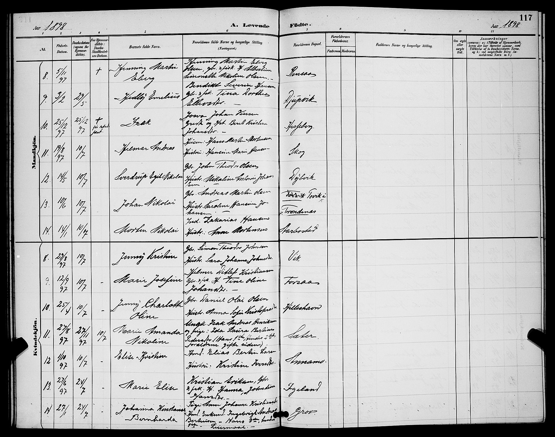 Ibestad sokneprestembete, SATØ/S-0077/H/Ha/Hab/L0008klokker: Parish register (copy) no. 8, 1890-1903, p. 117