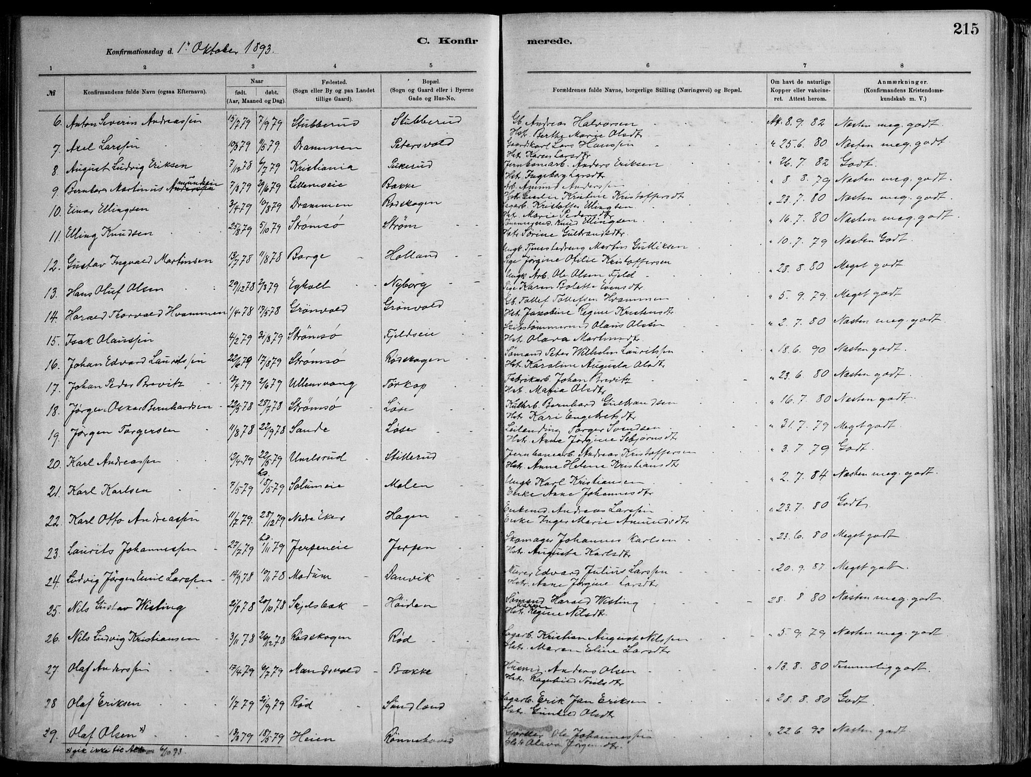 Skoger kirkebøker, AV/SAKO-A-59/F/Fa/L0006: Parish register (official) no. I 6, 1885-1910, p. 215