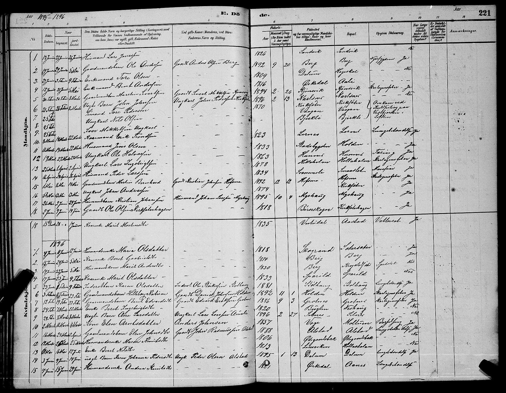 Ministerialprotokoller, klokkerbøker og fødselsregistre - Sør-Trøndelag, SAT/A-1456/630/L0504: Parish register (copy) no. 630C02, 1879-1898, p. 221