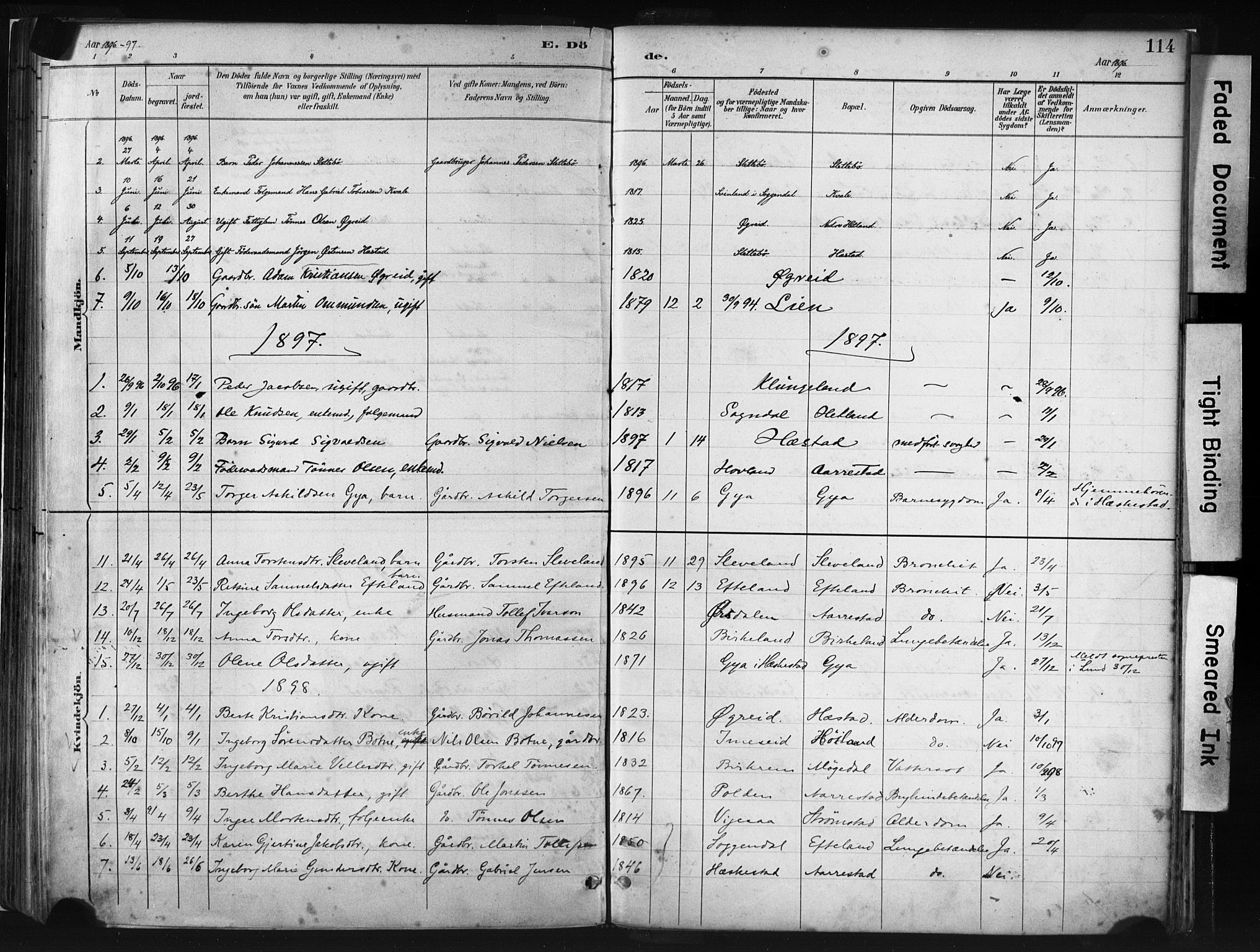 Helleland sokneprestkontor, AV/SAST-A-101810: Parish register (official) no. A 8, 1887-1907, p. 114