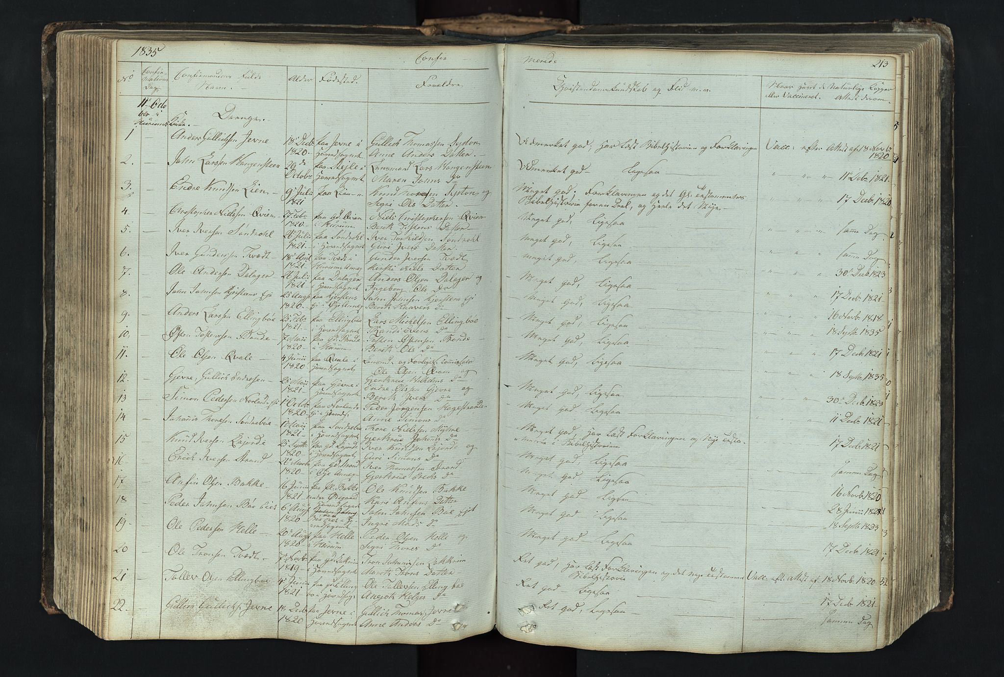 Vang prestekontor, Valdres, SAH/PREST-140/H/Hb/L0004: Parish register (copy) no. 4, 1835-1892, p. 213