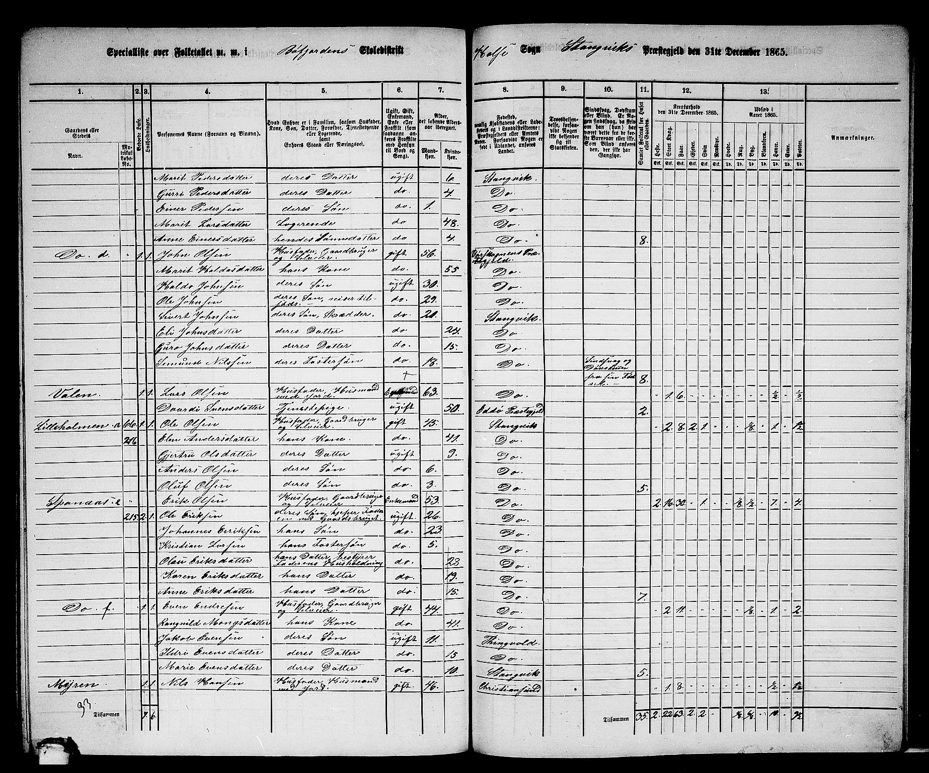 RA, 1865 census for Stangvik, 1865, p. 177