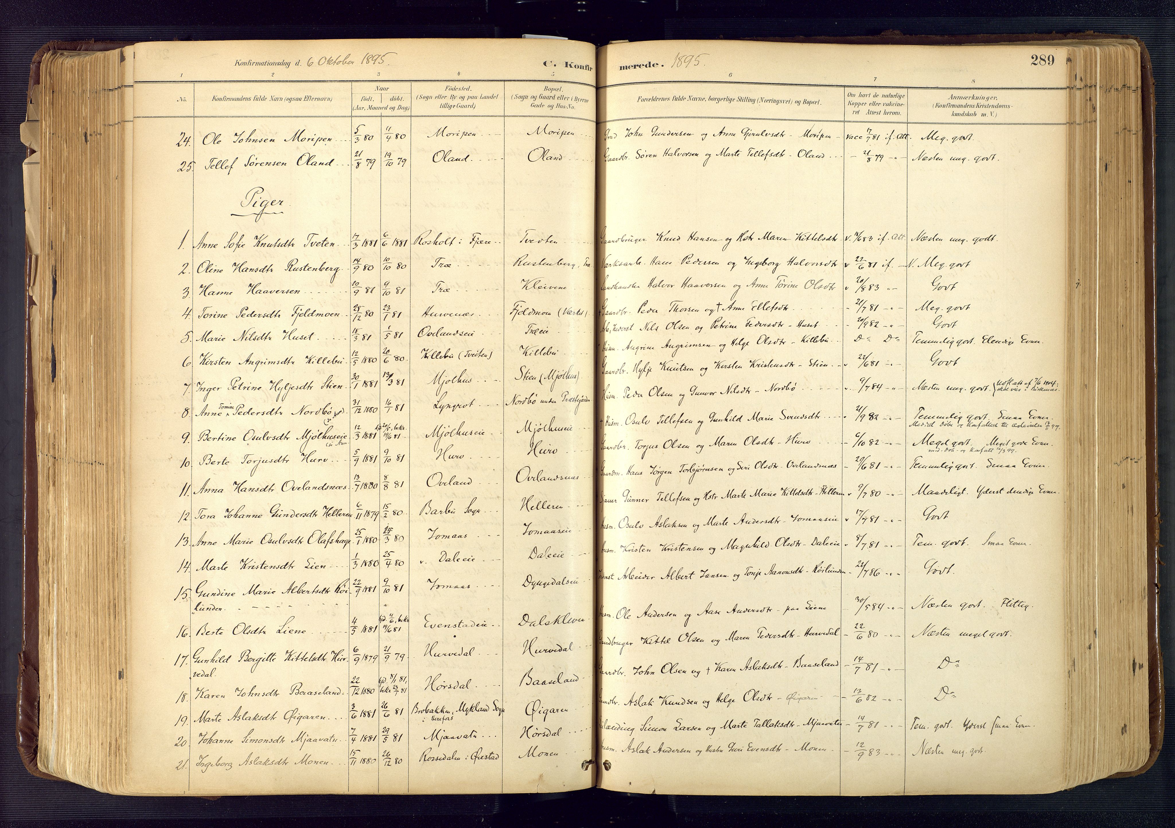 Froland sokneprestkontor, SAK/1111-0013/F/Fa/L0005: Parish register (official) no. A 5, 1882-1921, p. 289