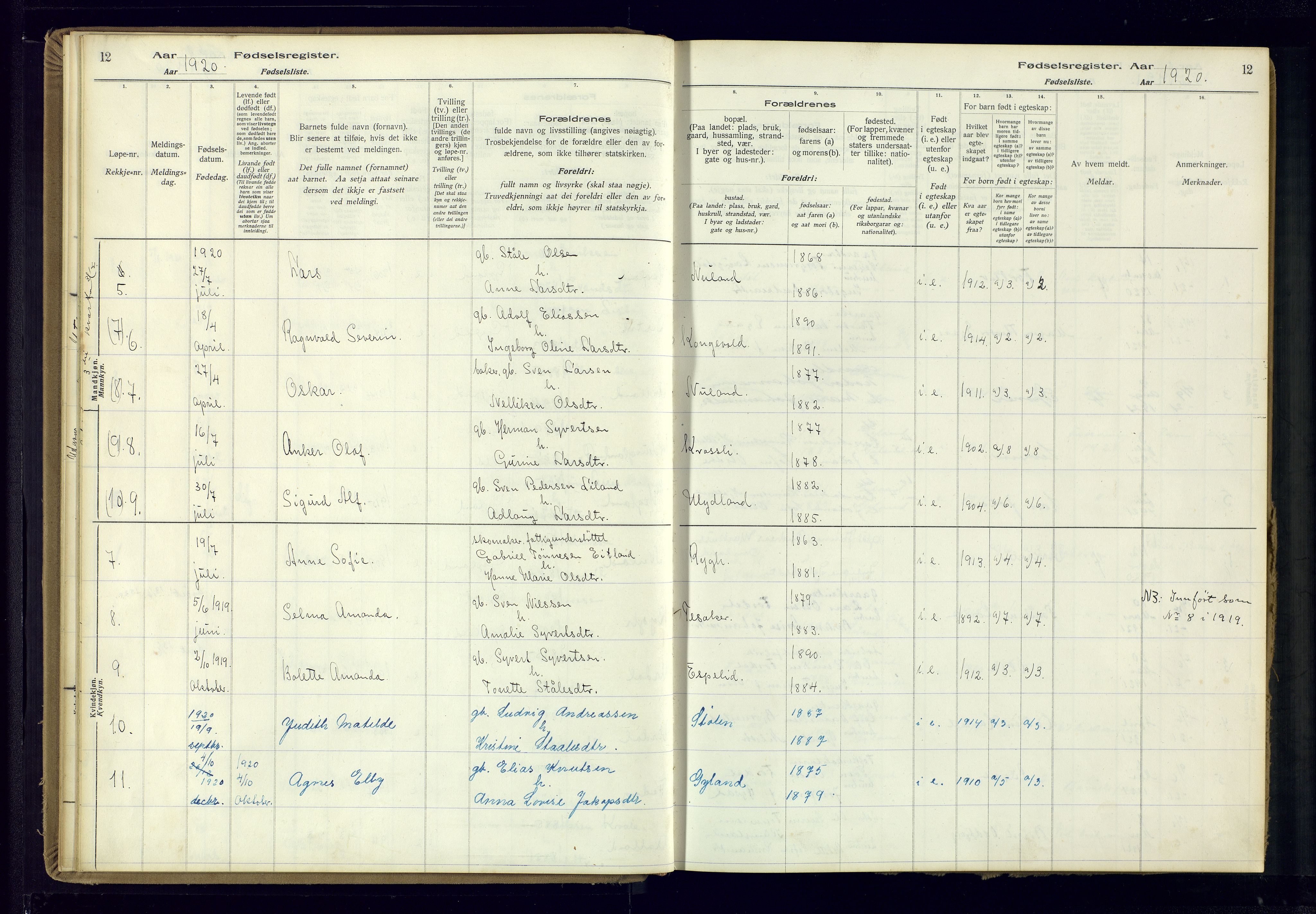 Bakke sokneprestkontor, AV/SAK-1111-0002/J/Ja/L0002: Birth register no. A-VI-19, 1916-1982, p. 12