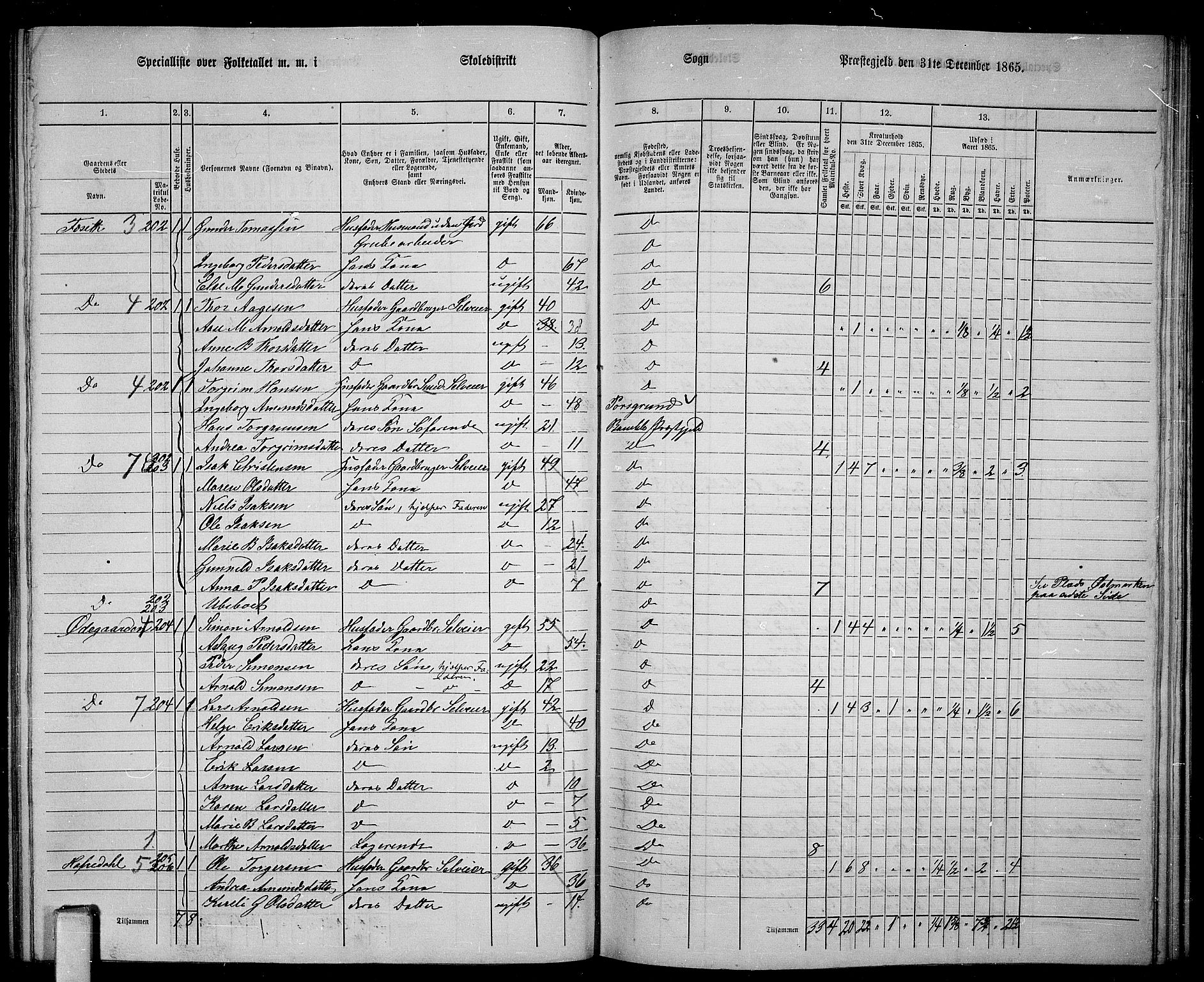 RA, 1865 census for Bamble, 1865, p. 109