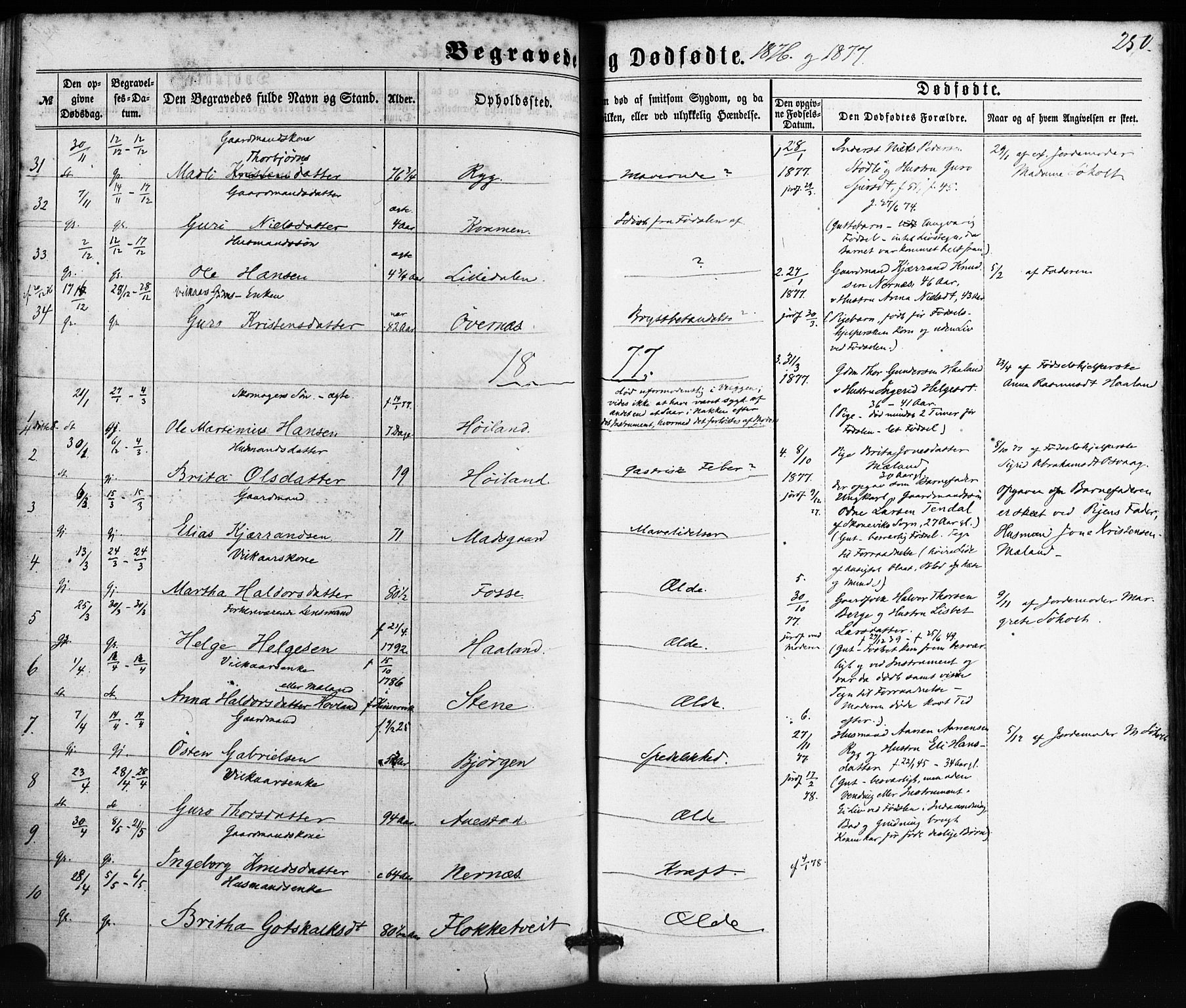 Etne sokneprestembete, SAB/A-75001/H/Haa: Parish register (official) no. A 9, 1862-1878, p. 250