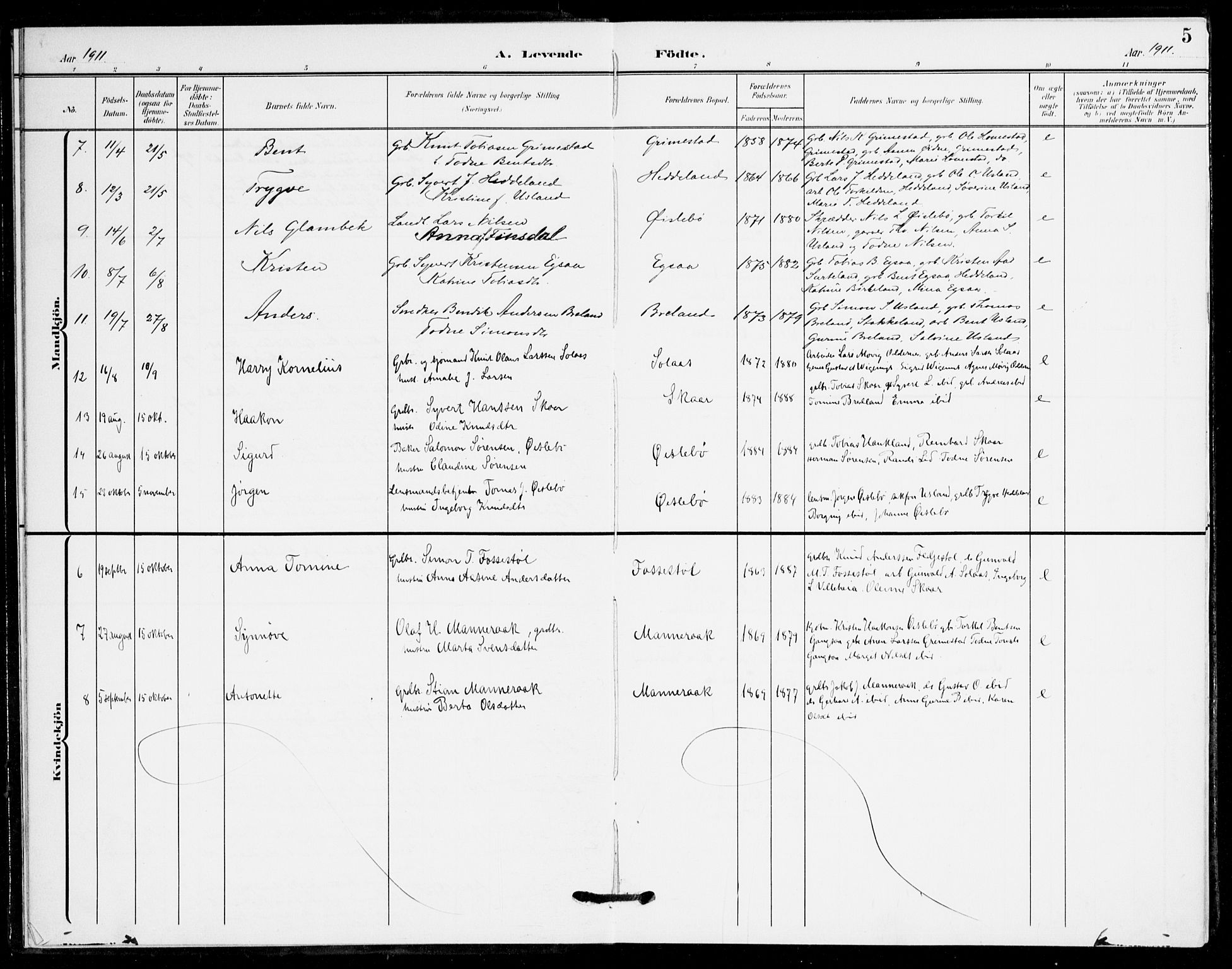 Holum sokneprestkontor, AV/SAK-1111-0022/F/Fa/Fac/L0005: Parish register (official) no. A 5, 1908-1930, p. 5