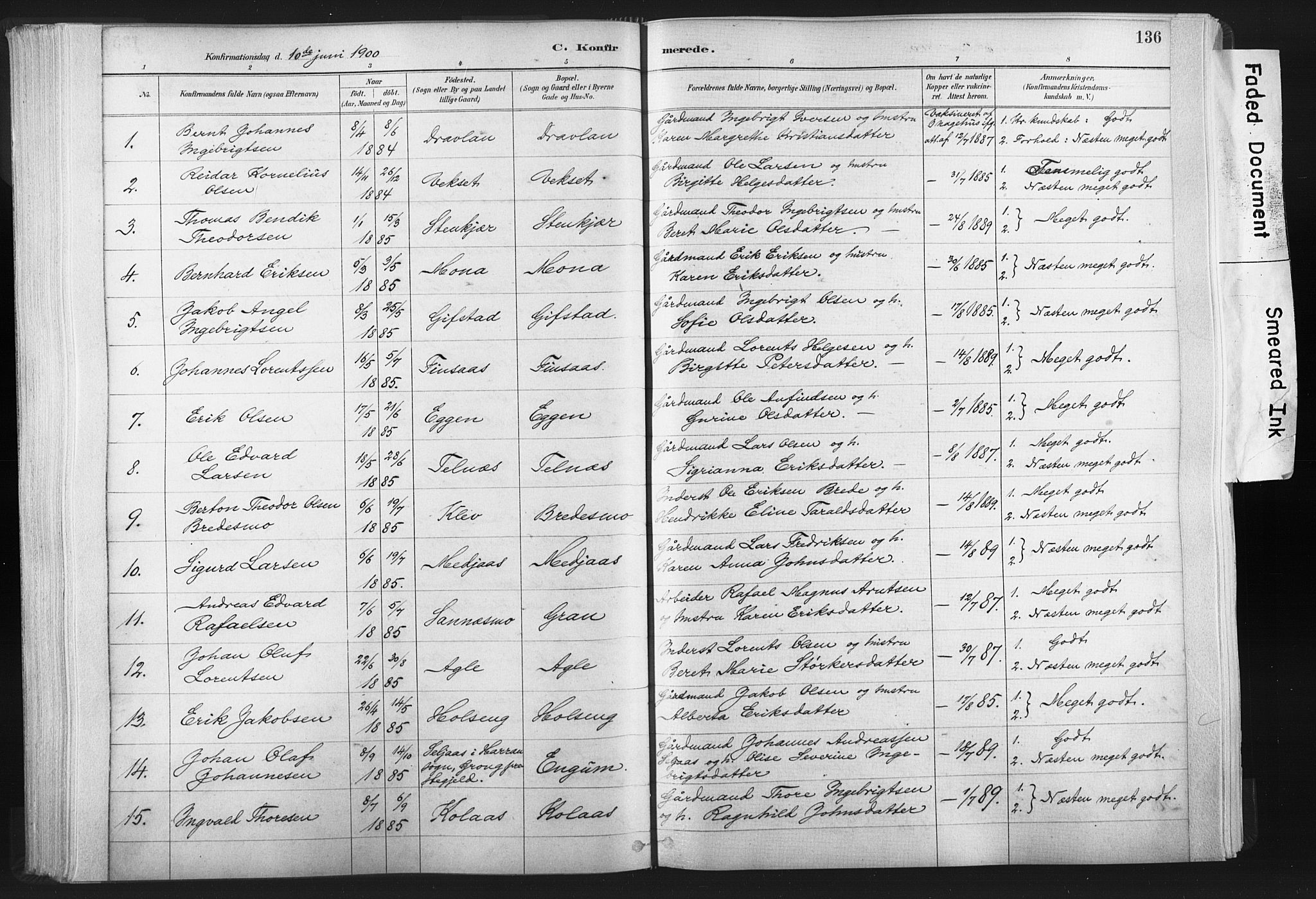 Ministerialprotokoller, klokkerbøker og fødselsregistre - Nord-Trøndelag, SAT/A-1458/749/L0474: Parish register (official) no. 749A08, 1887-1903, p. 136