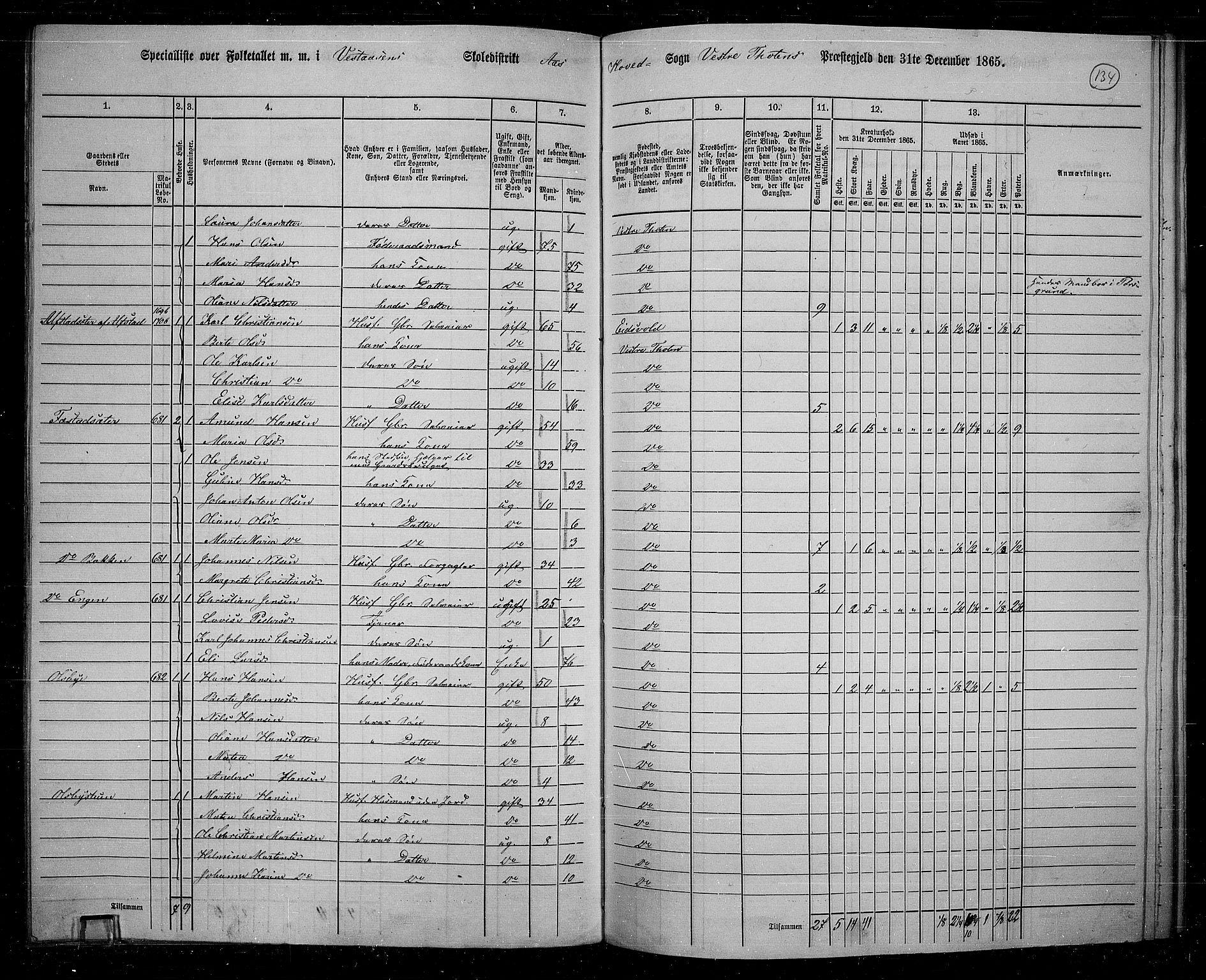 RA, 1865 census for Vestre Toten, 1865, p. 117