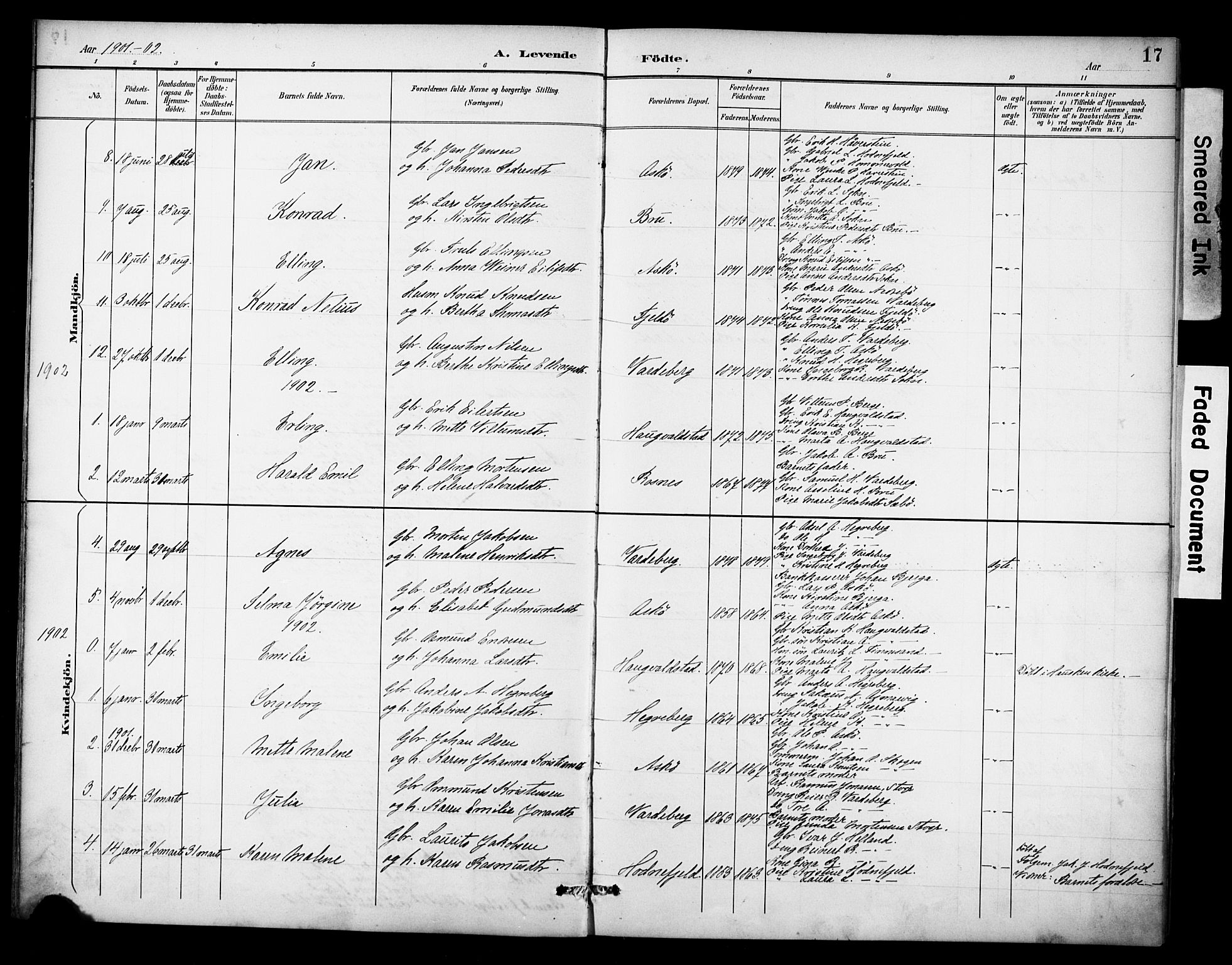 Rennesøy sokneprestkontor, AV/SAST-A -101827/H/Ha/Haa/L0015: Parish register (official) no. A 15, 1891-1908, p. 17