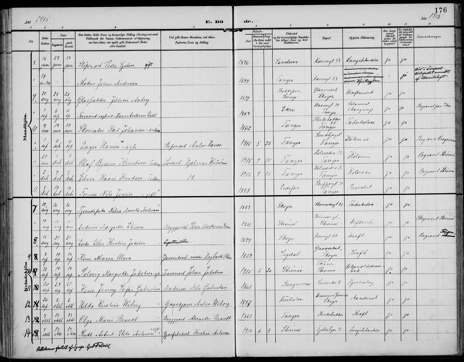 Strømsø kirkebøker, AV/SAKO-A-246/F/Fb/L0008: Parish register (official) no. II 8, 1902-1933, p. 176