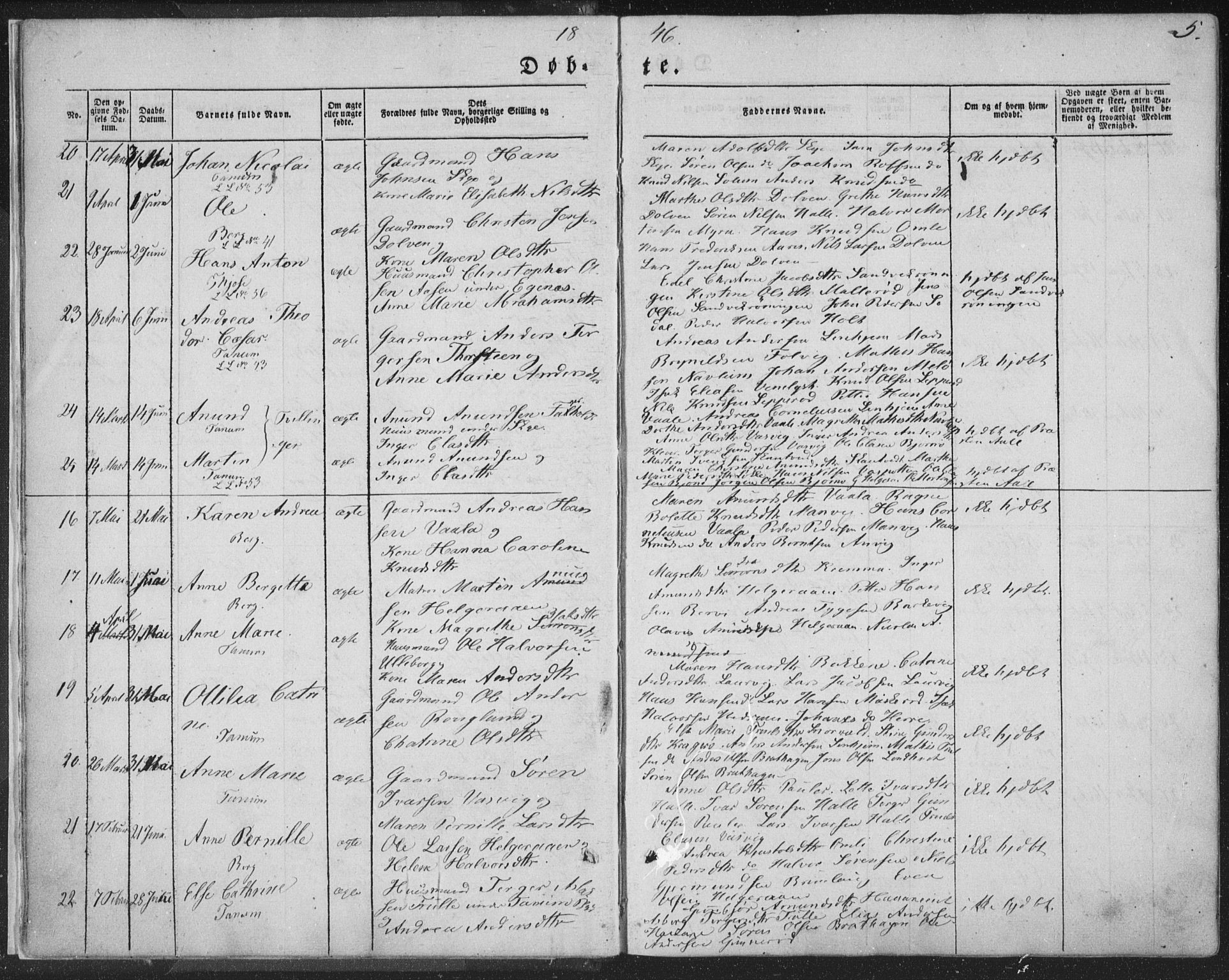 Brunlanes kirkebøker, AV/SAKO-A-342/F/Fa/L0004: Parish register (official) no. I 4, 1846-1862, p. 5