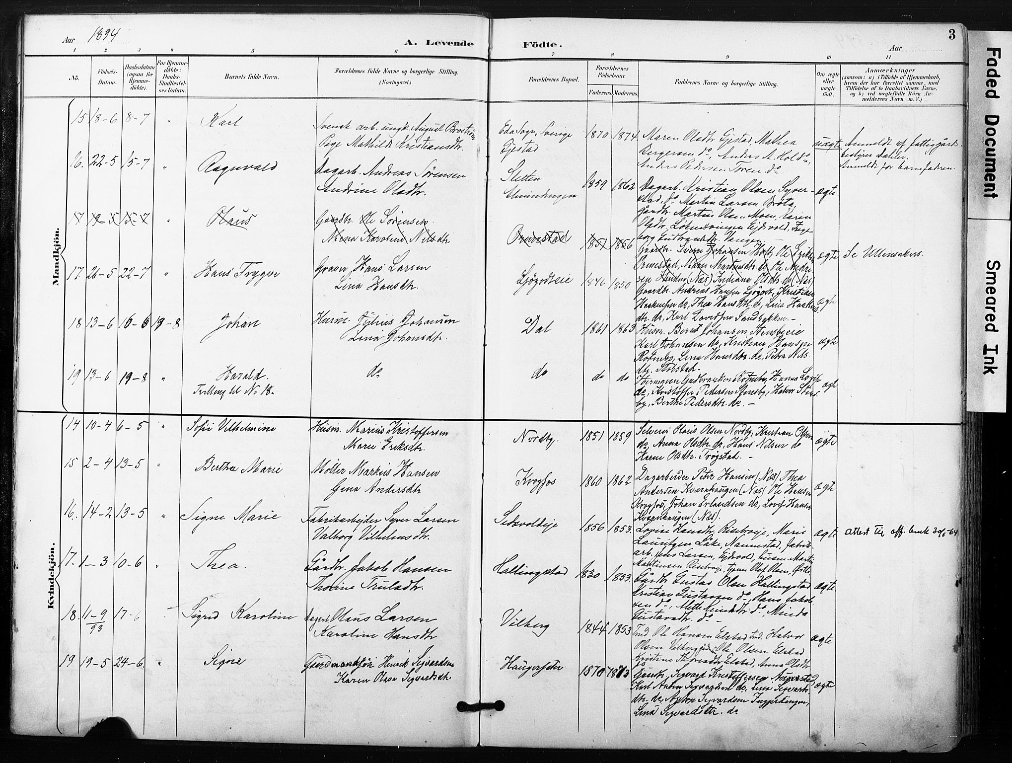 Ullensaker prestekontor Kirkebøker, AV/SAO-A-10236a/F/Fb/L0002: Parish register (official) no. II 2, 1894-1909, p. 3