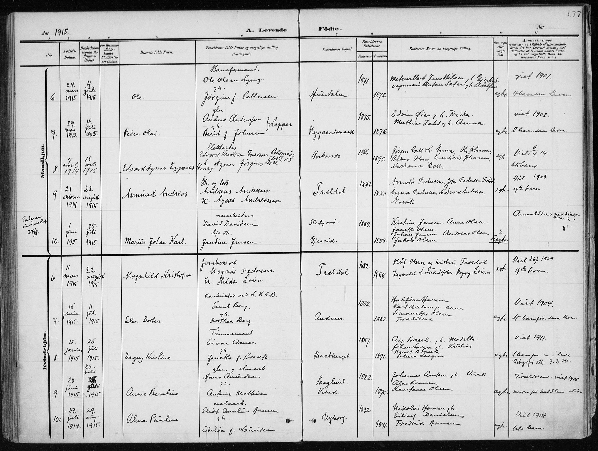 Ministerialprotokoller, klokkerbøker og fødselsregistre - Nordland, SAT/A-1459/866/L0941: Parish register (official) no. 866A04, 1901-1917, p. 177
