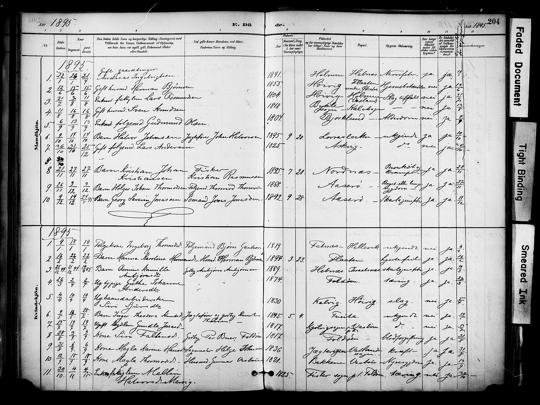 Jelsa sokneprestkontor, SAST/A-101842/01/IV: Parish register (official) no. A 10, 1884-1906, p. 204