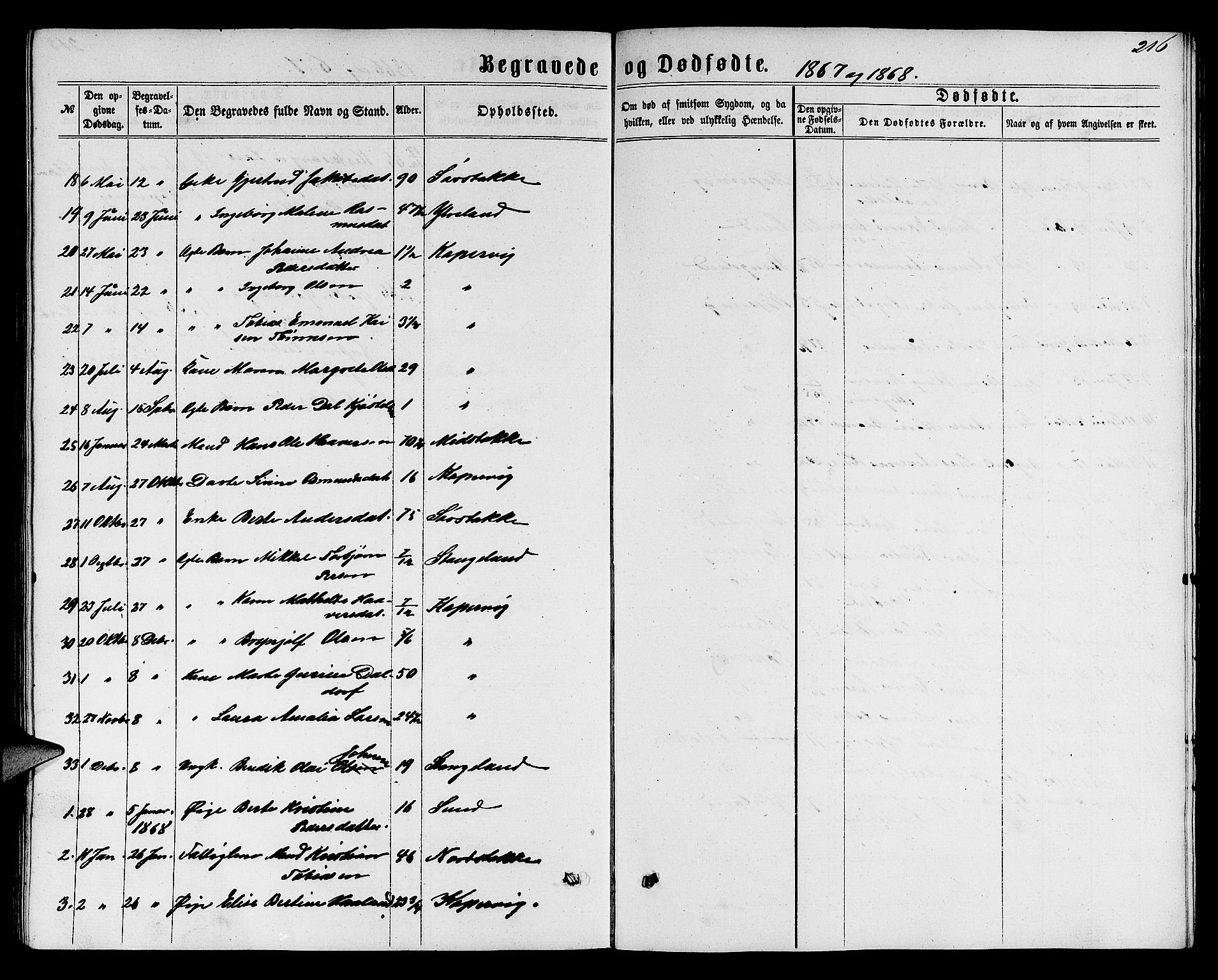 Avaldsnes sokneprestkontor, SAST/A -101851/H/Ha/Hab/L0004: Parish register (copy) no. B 4, 1861-1876, p. 216