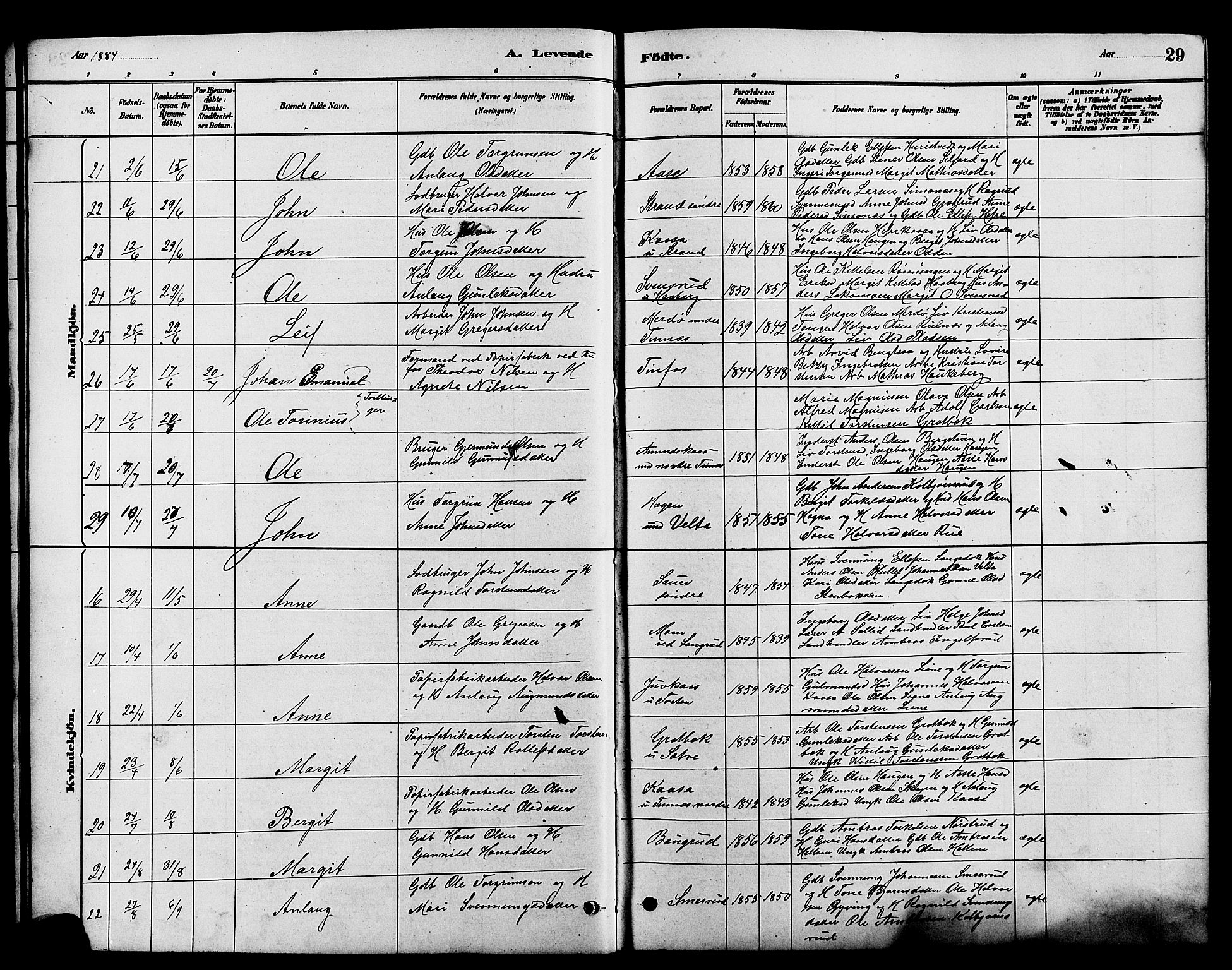 Heddal kirkebøker, AV/SAKO-A-268/G/Ga/L0002: Parish register (copy) no. I 2, 1879-1908, p. 29