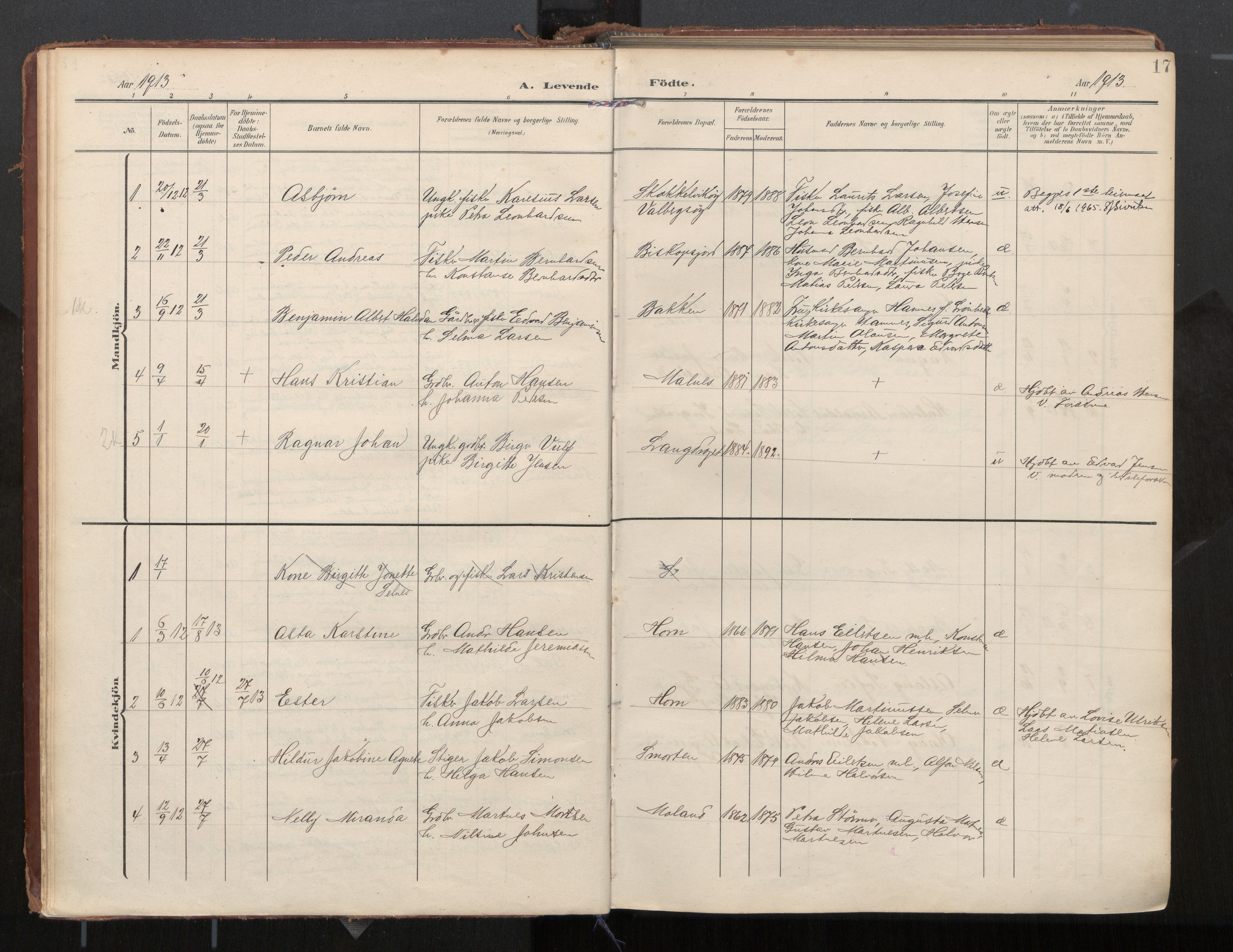 Ministerialprotokoller, klokkerbøker og fødselsregistre - Nordland, SAT/A-1459/884/L1194: Parish register (official) no. 884A02, 1906-1937, p. 17