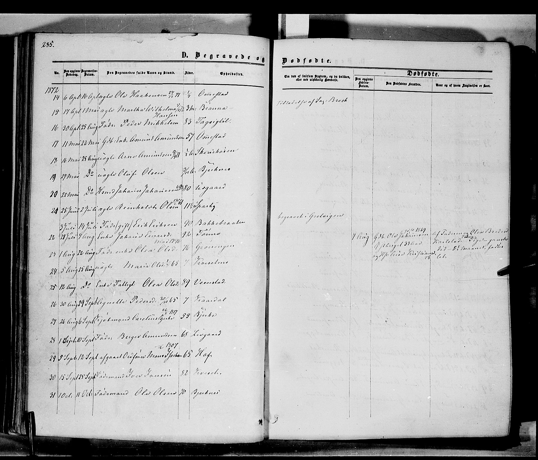 Hof prestekontor, AV/SAH-PREST-038/H/Ha/Haa/L0009: Parish register (official) no. 9, 1862-1877, p. 285