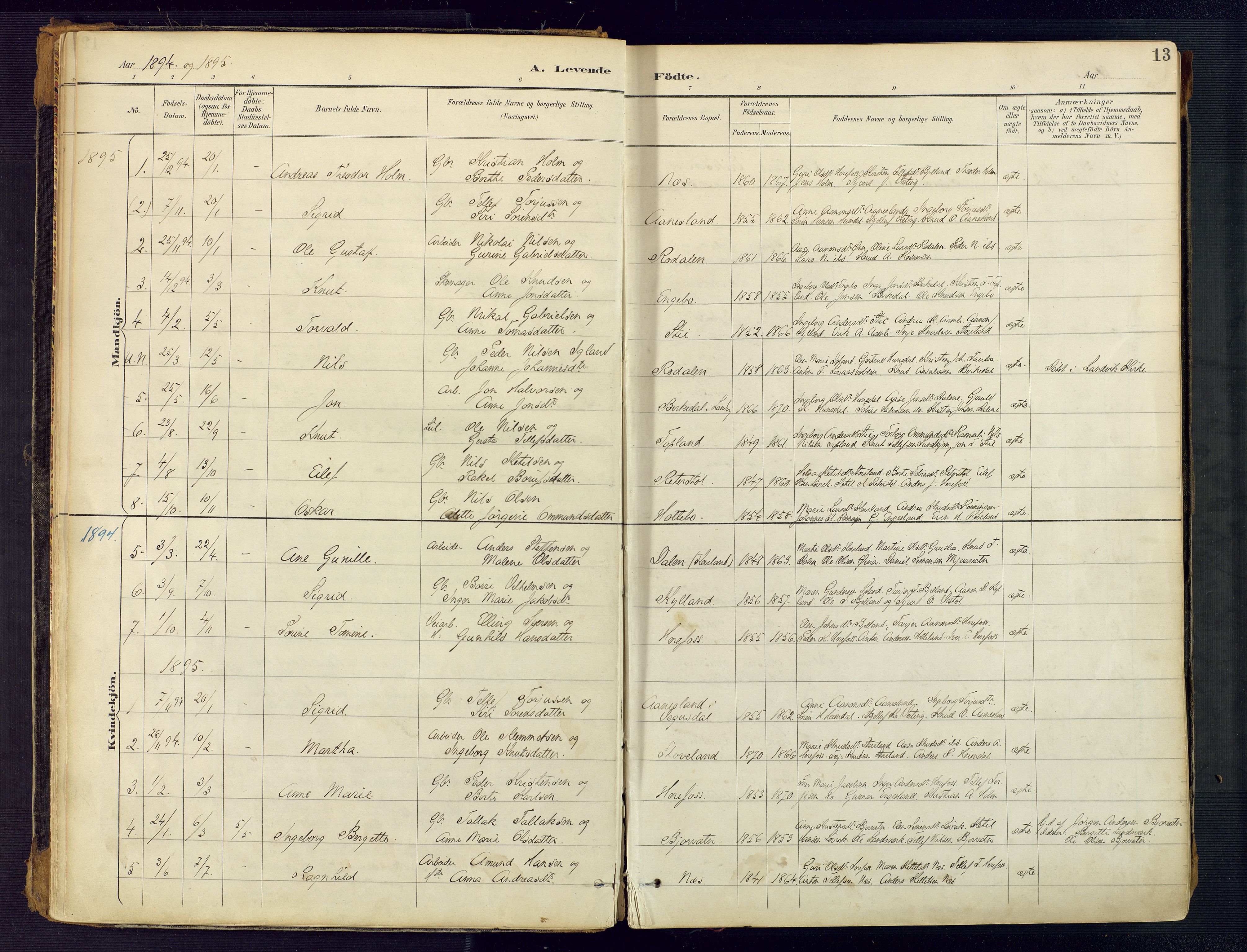Herefoss sokneprestkontor, SAK/1111-0019/F/Fa/Faa/L0003: Parish register (official) no. A 3, 1887-1930, p. 13