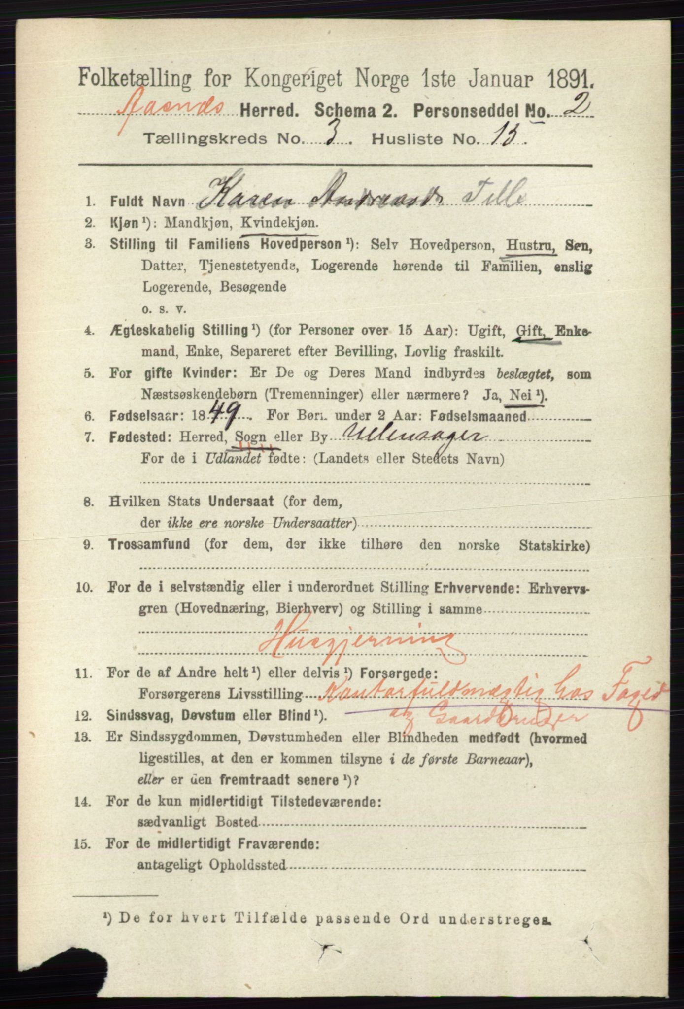 RA, 1891 census for 0425 Åsnes, 1891, p. 1179