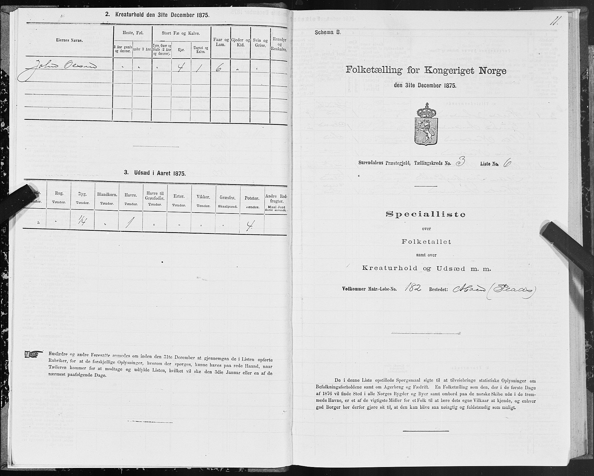 SAT, 1875 census for 1566P Surnadal, 1875, p. 2011