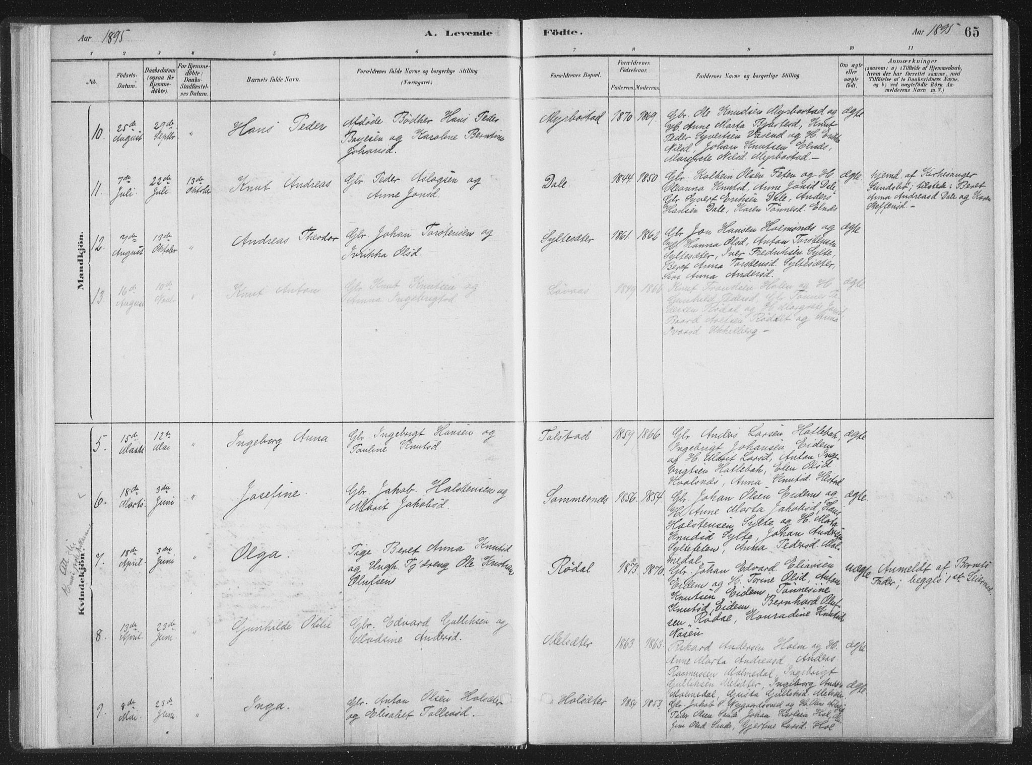 Ministerialprotokoller, klokkerbøker og fødselsregistre - Møre og Romsdal, AV/SAT-A-1454/564/L0740: Parish register (official) no. 564A01, 1880-1899, p. 65