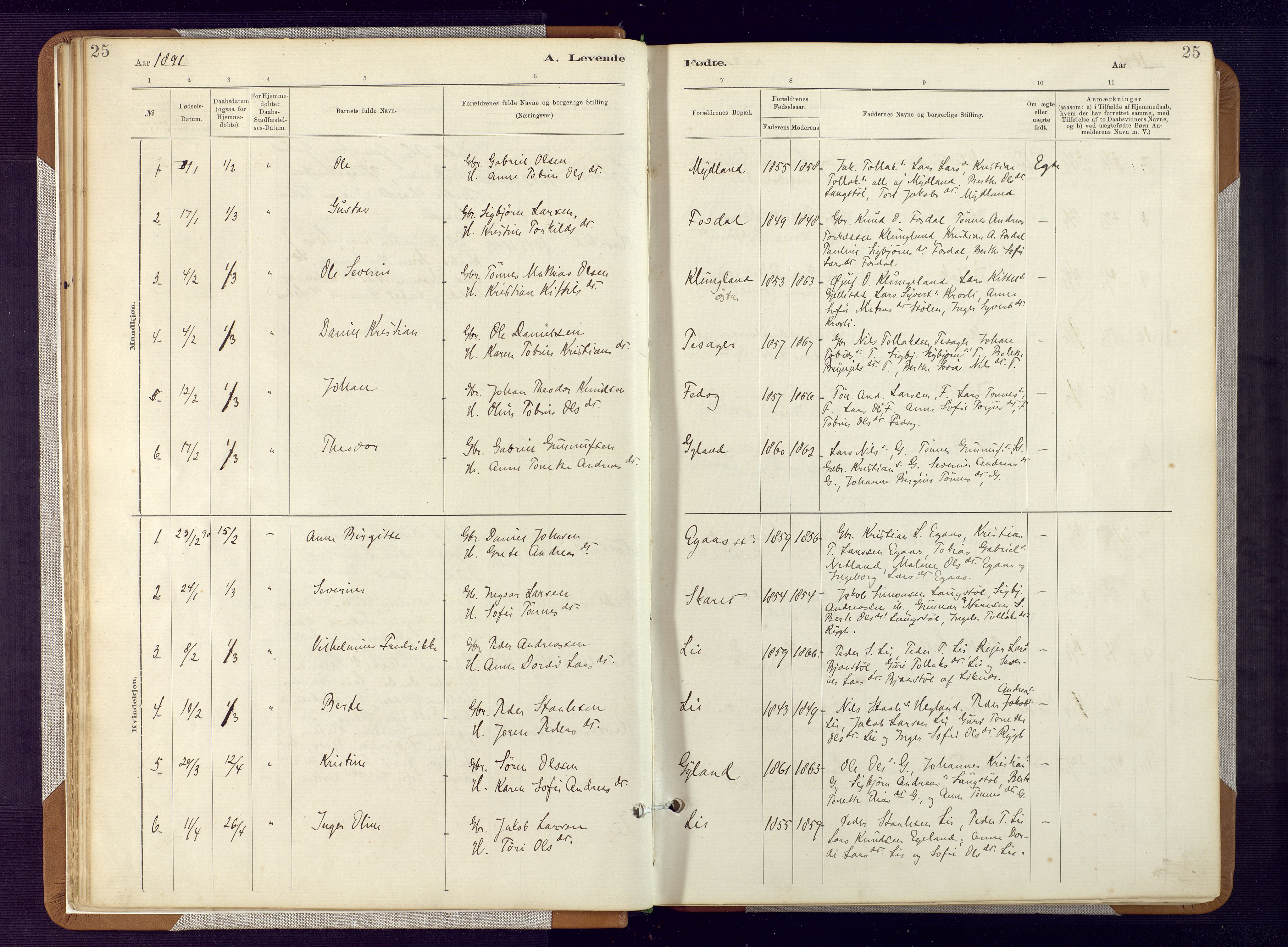 Bakke sokneprestkontor, SAK/1111-0002/F/Fa/Fab/L0003: Parish register (official) no. A 3, 1884-1921, p. 25