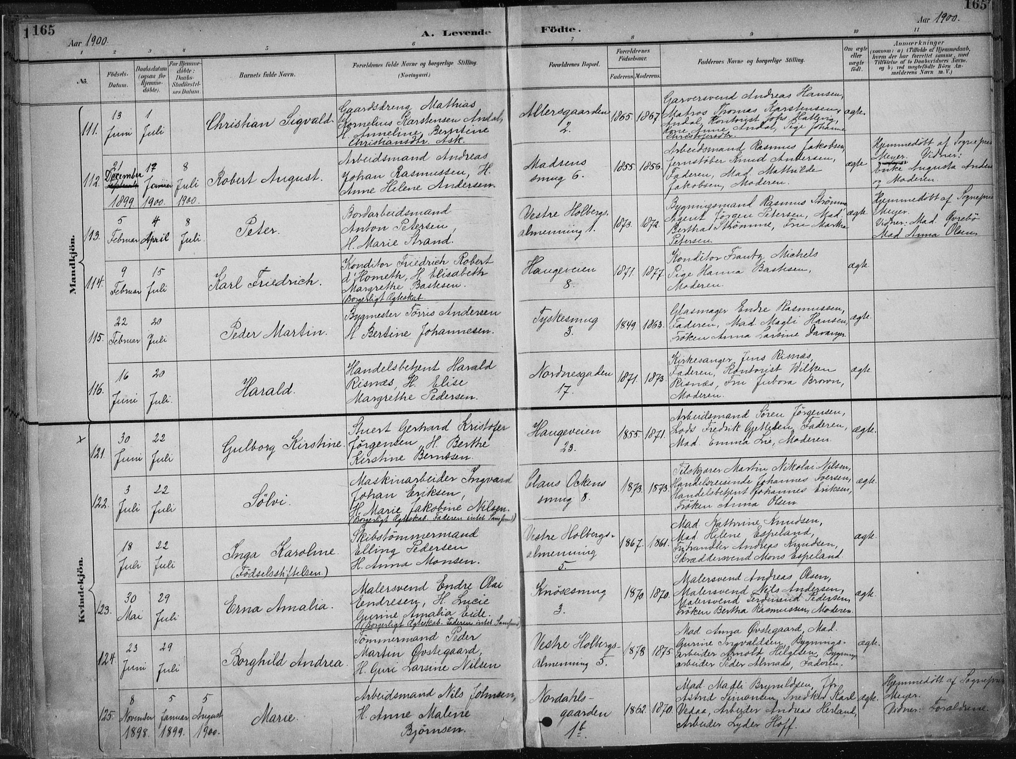 Nykirken Sokneprestembete, AV/SAB-A-77101/H/Haa/L0018: Parish register (official) no. B 6, 1895-1903, p. 165