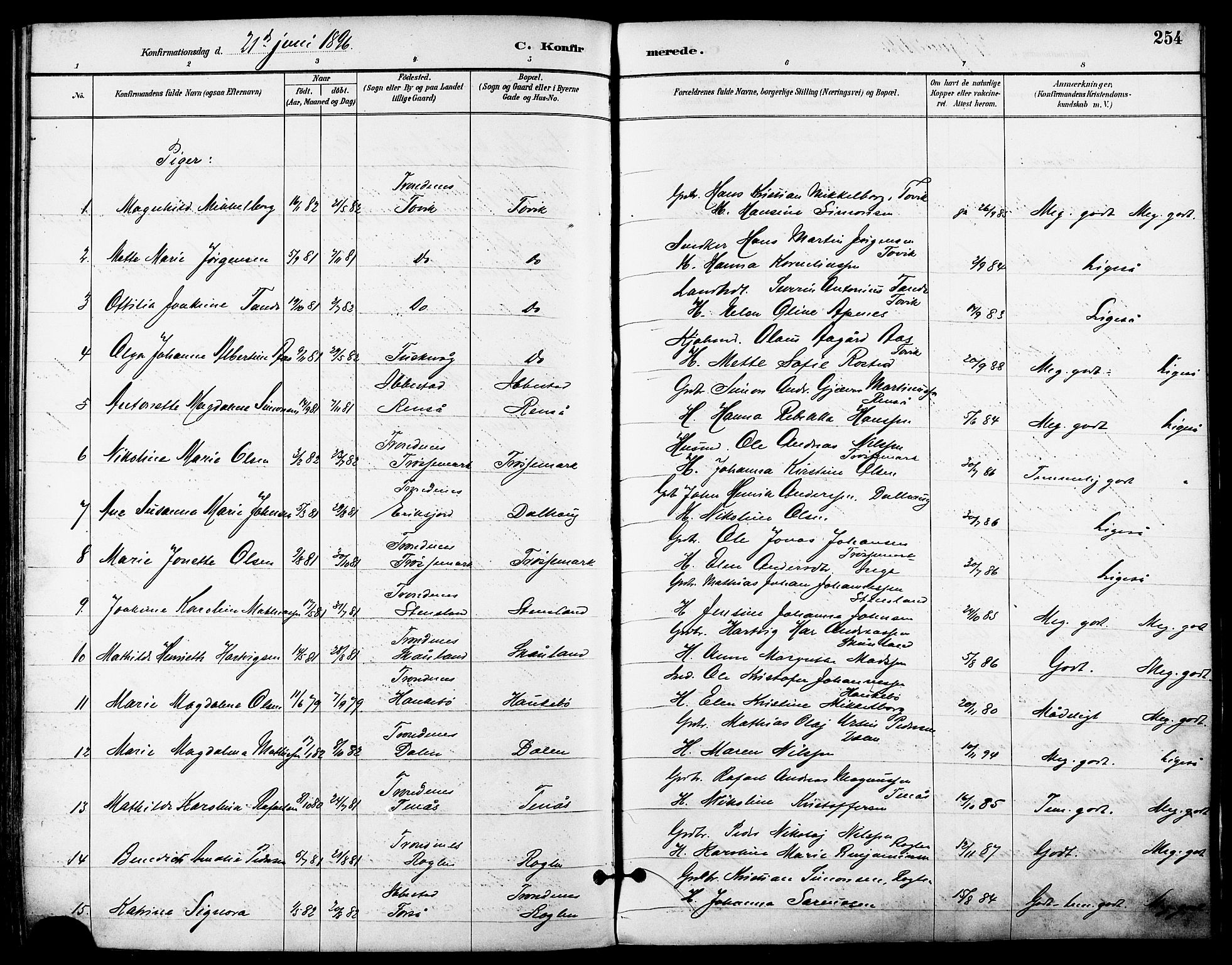 Trondenes sokneprestkontor, SATØ/S-1319/H/Ha/L0016kirke: Parish register (official) no. 16, 1890-1898, p. 254